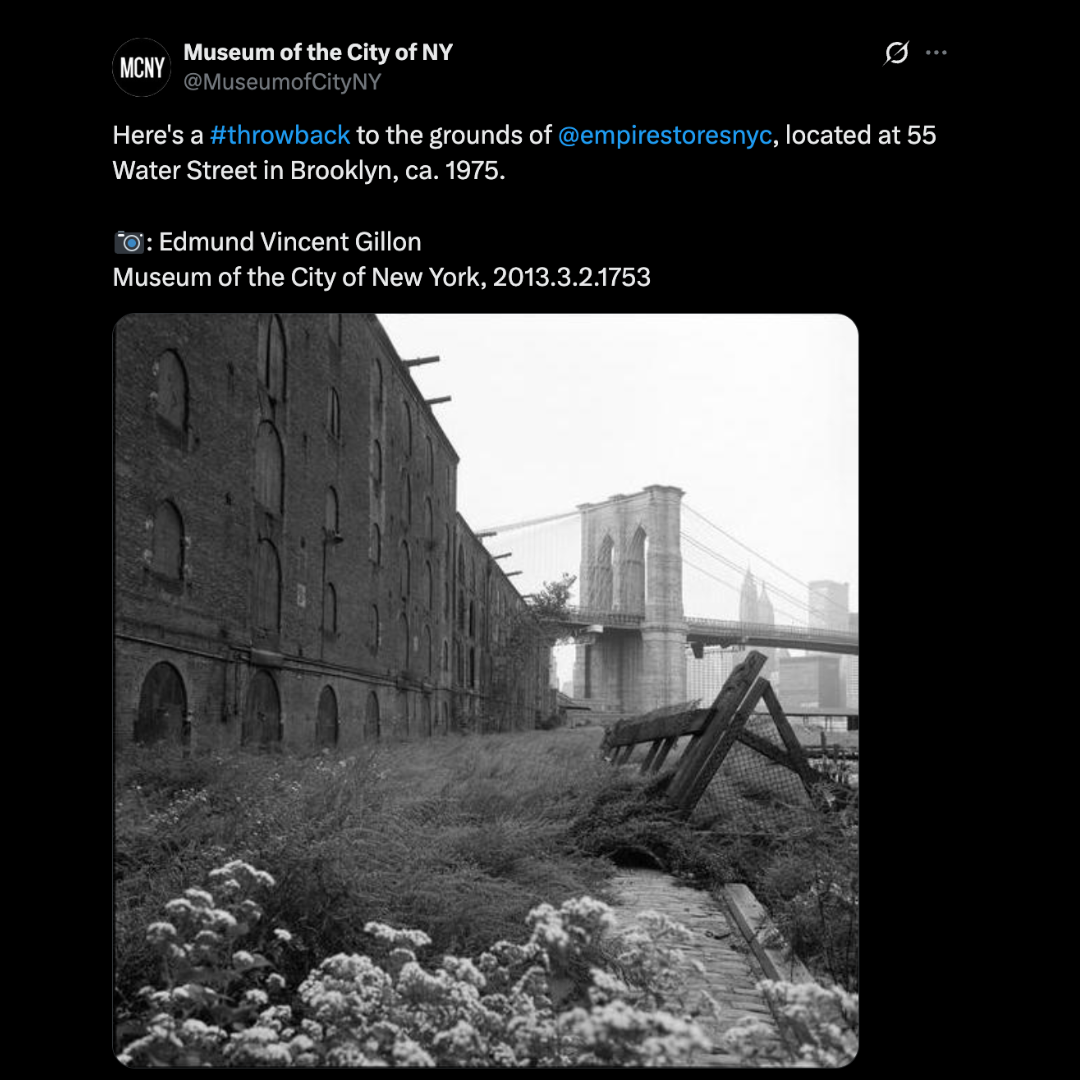museum 16.png