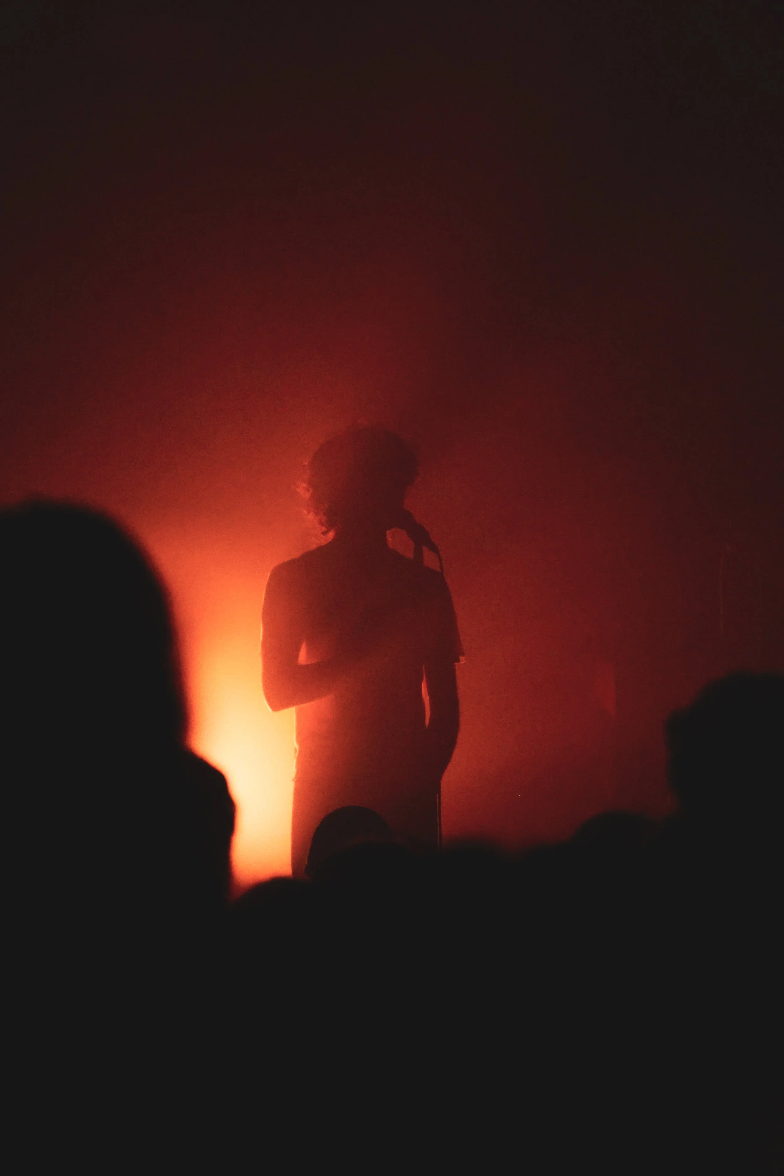 Silhouette of a person with curly hair holding a microphone, performing on stage with orange-red lighting and an audience in the foreground.