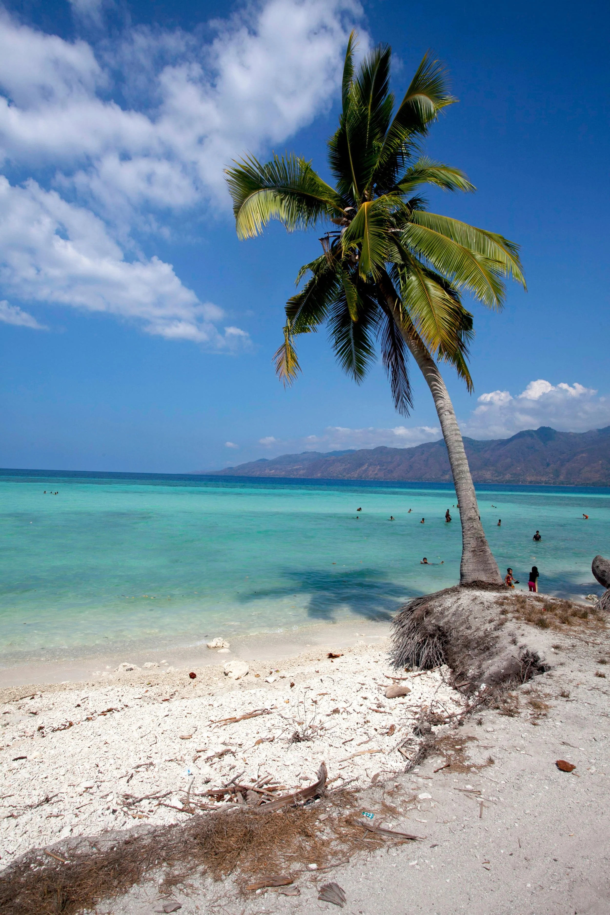 A tropical beach with white sand, a tall palm tree, turquoise water, and a blue sky with clouds, mountains in the background, and people swimming and relaxing.