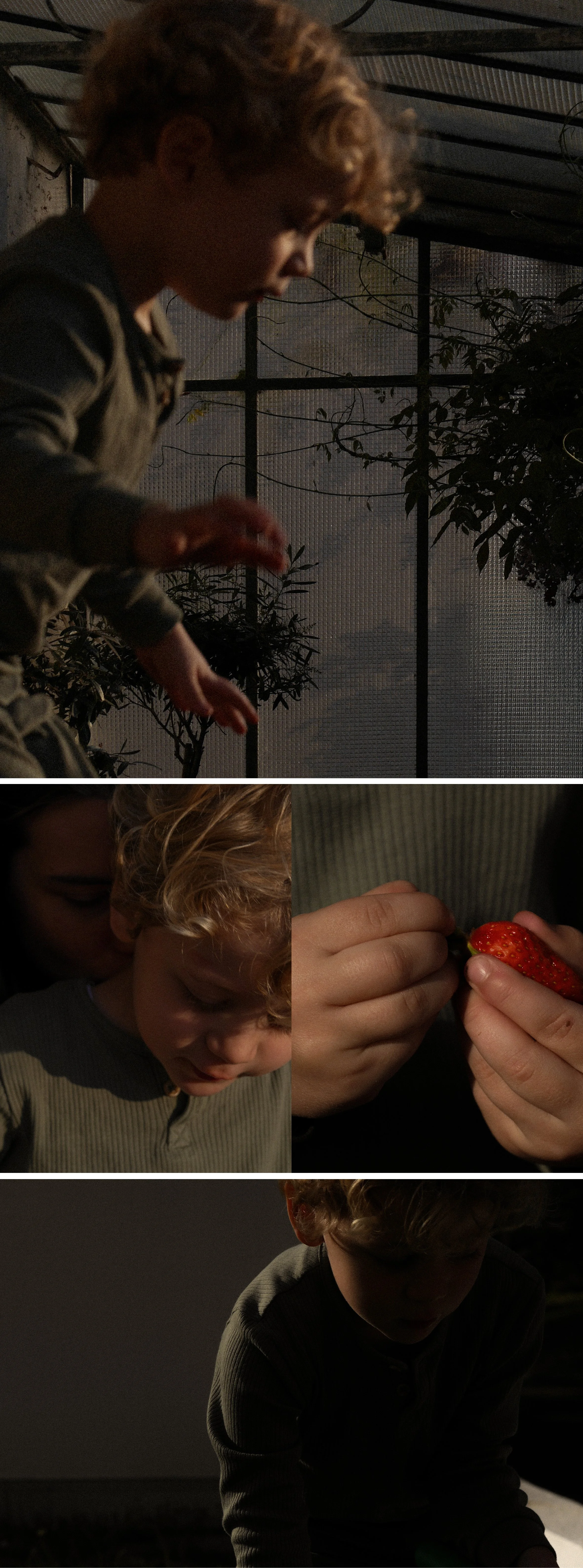 Une série de quatre photos montrant deux enfants, un avec des cheveux bouclés, qui tient une fraise, dans un environnement intérieur faiblement éclairé.