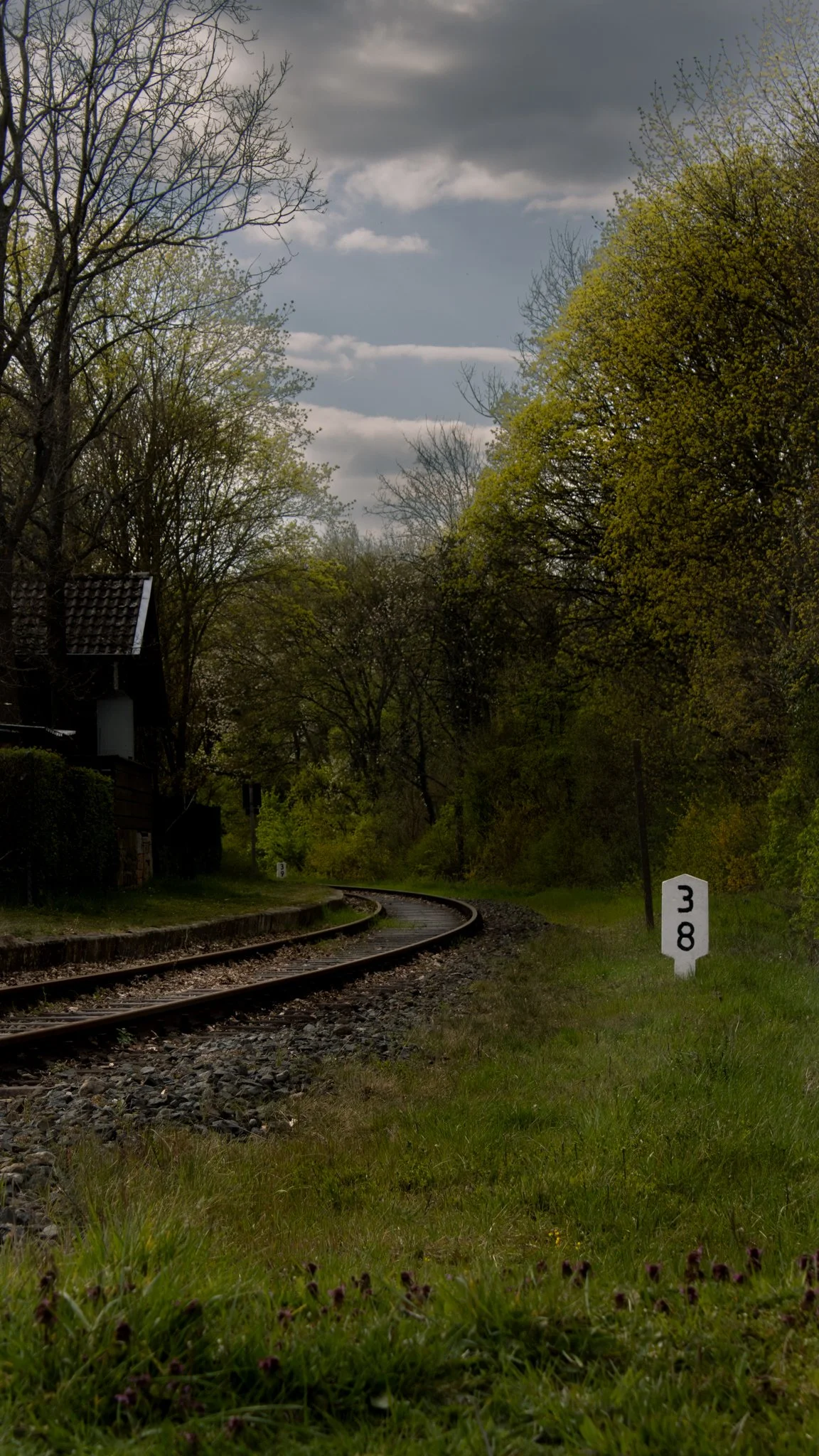 Ein ruhiger Bahndamm mit schmalen, gewundenen Schienen, umgeben von Bäumen mit frischem Frühlingslaub, unter einem bewölkten Himmel. Für Oberleitungen ist keine Zugangsleitung sichtbar.