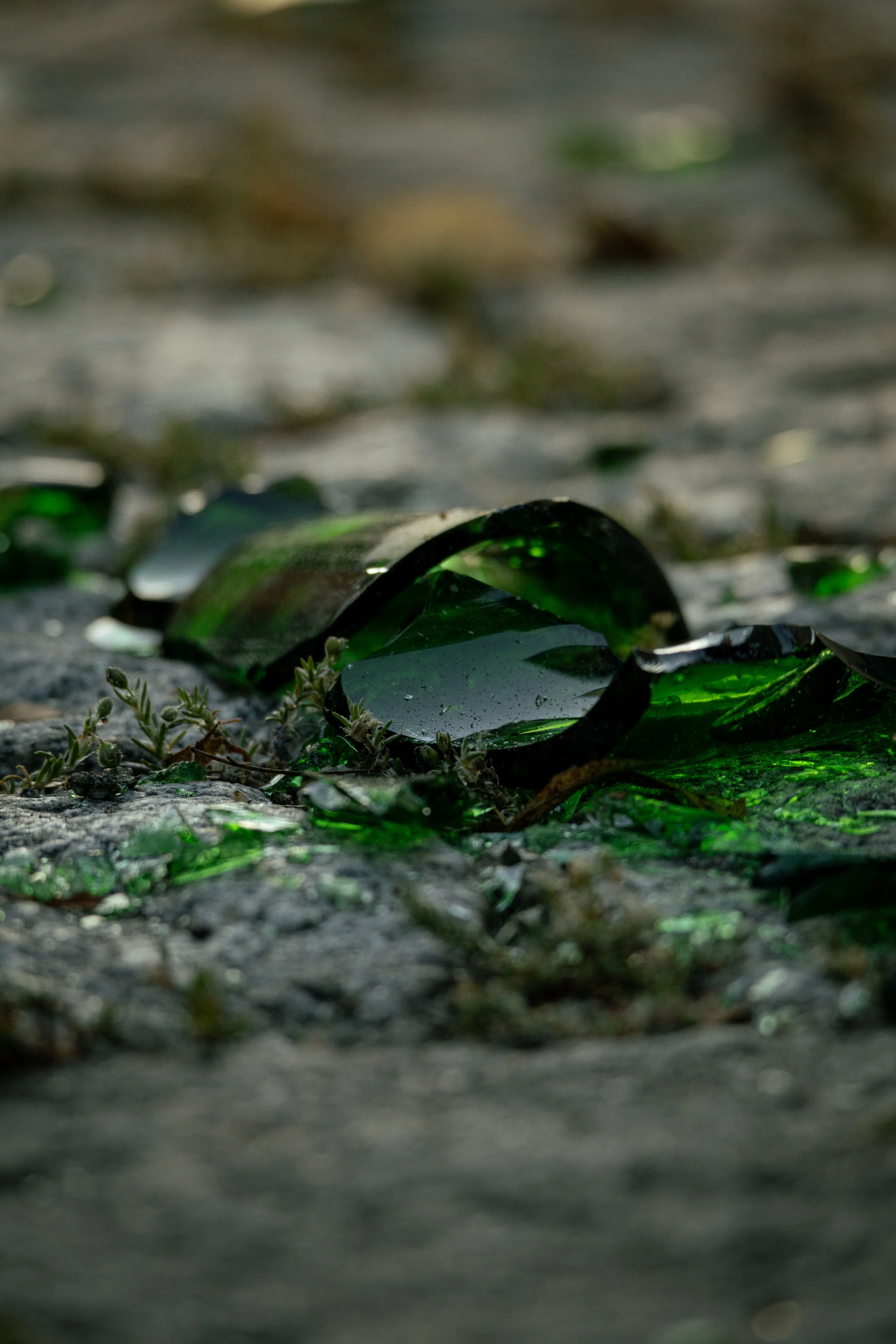 Brennendes grünes Glas auf dunklem Boden, umgeben von kleinen Pflanzen