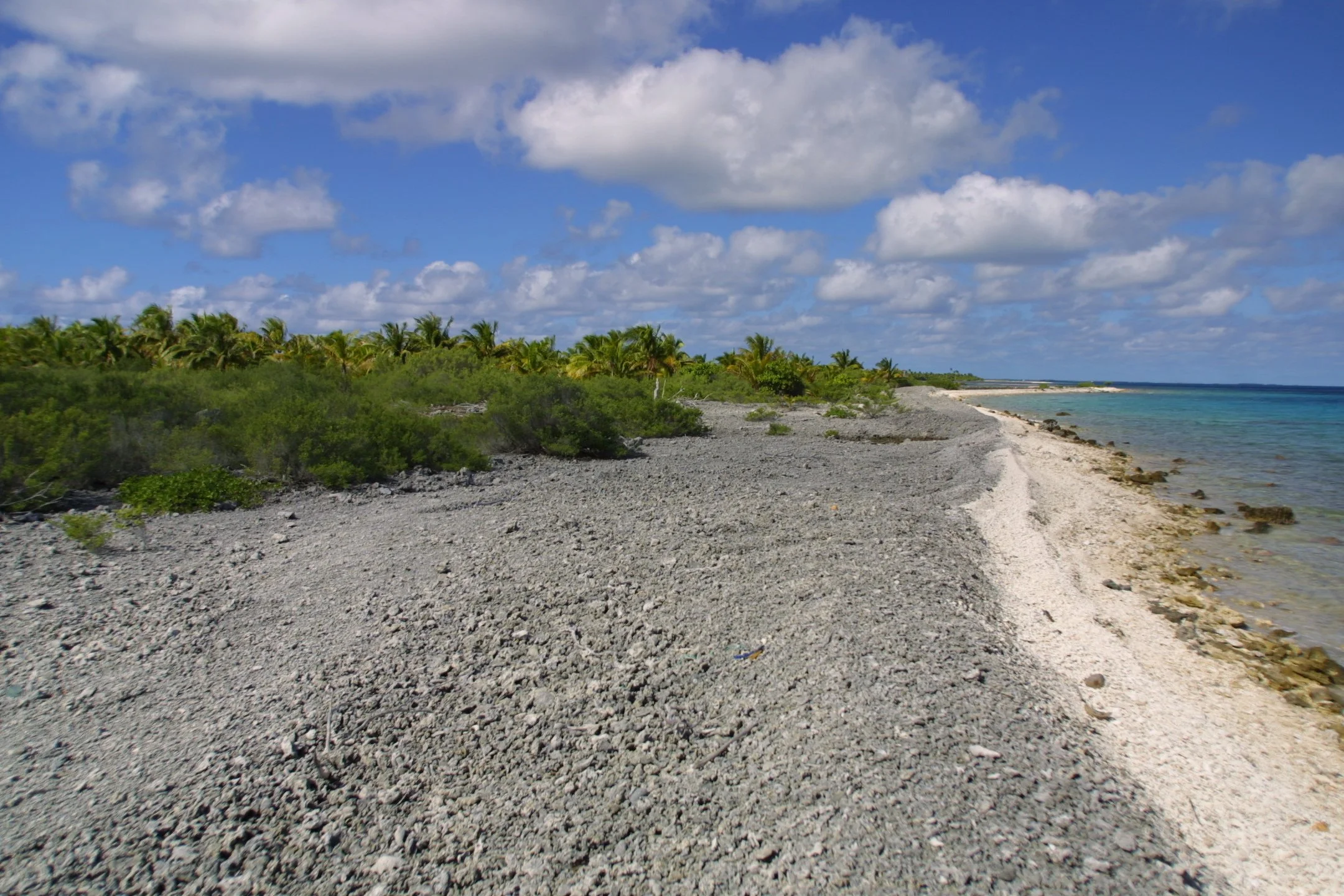 A rocky beach with green shrubbery, palm trees, and a calm blue ocean under a partly cloudy sky.