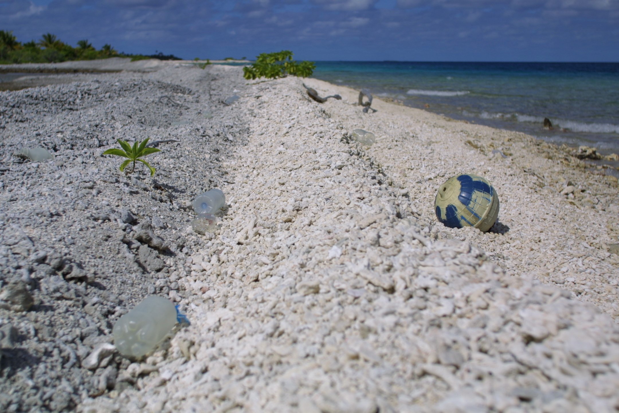 View of a sandy beach with small plants, a blue and white spherical object, and a clear ocean in the background under a cloudy sky.