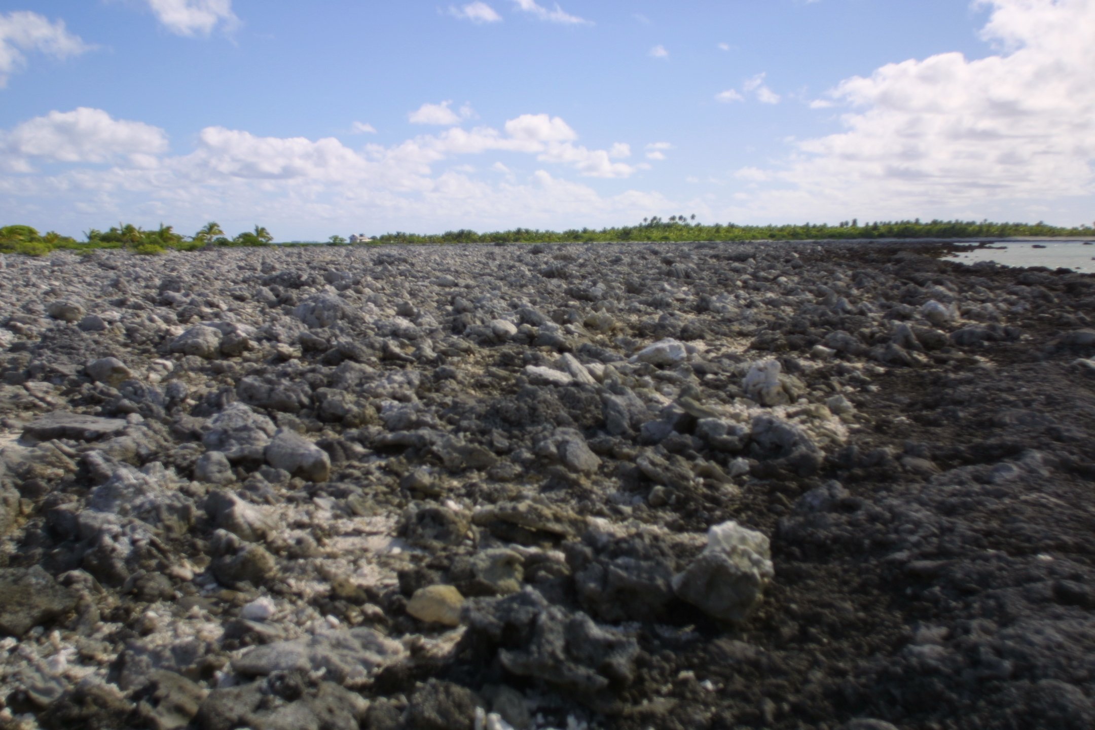 A rocky shoreline with water on the right, green trees and a blue sky with some clouds in the background.