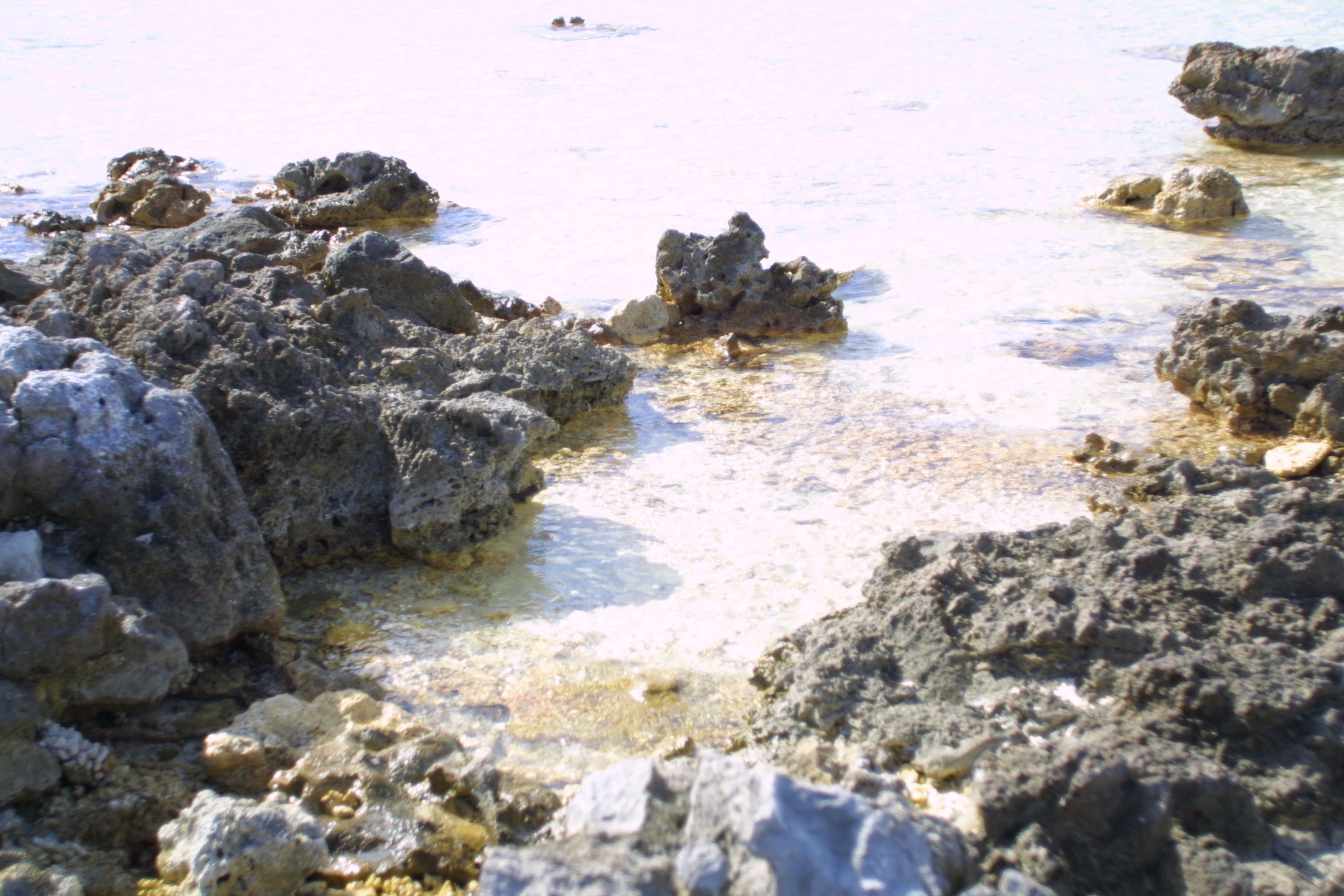 A rocky shoreline with small rocks and the ocean in the background, gentle waves lapping against the rocks.