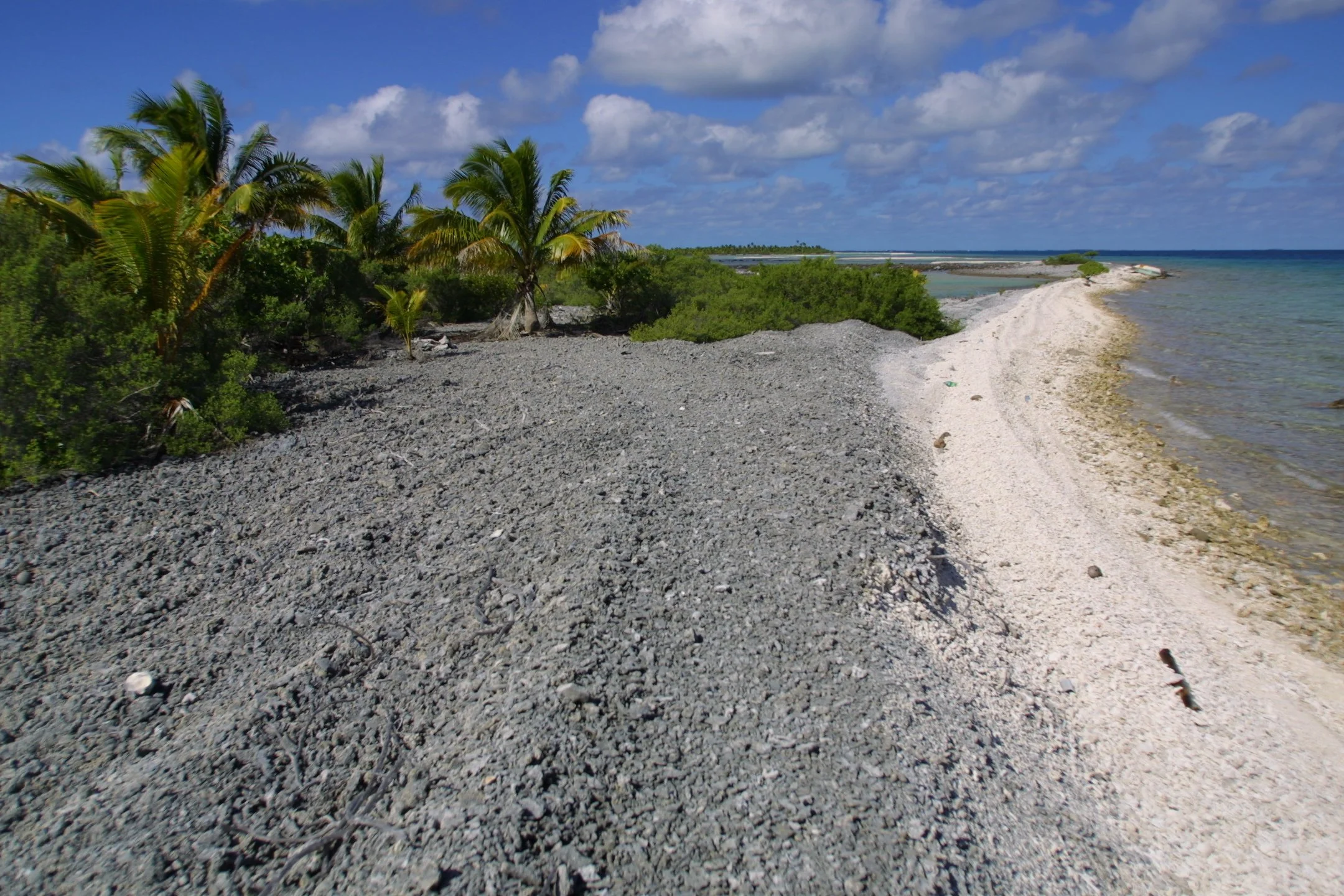 A coastal scene with palm trees, a rocky shoreline, and a sandy beach leading to blue ocean waters under a partly cloudy sky.