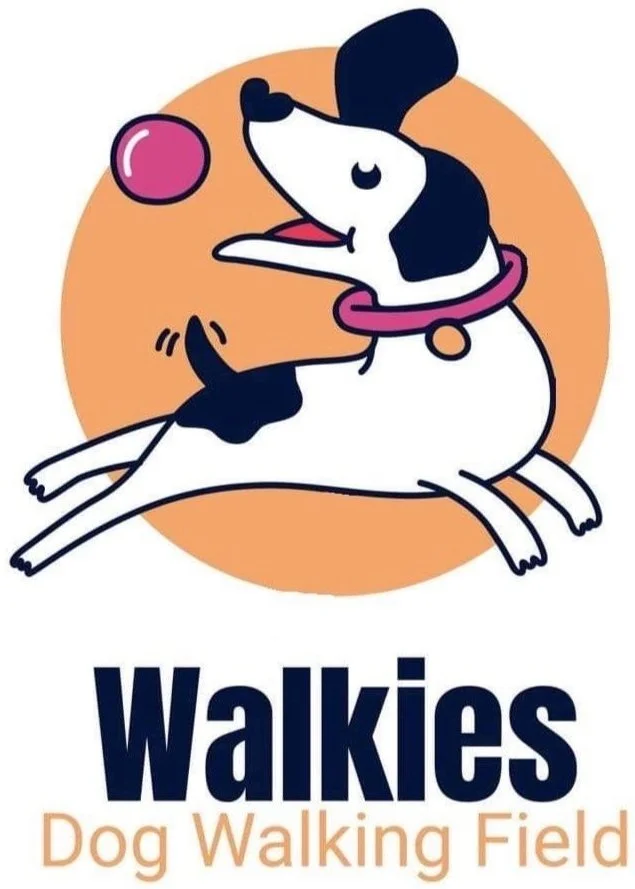 Walkies Field Nowton