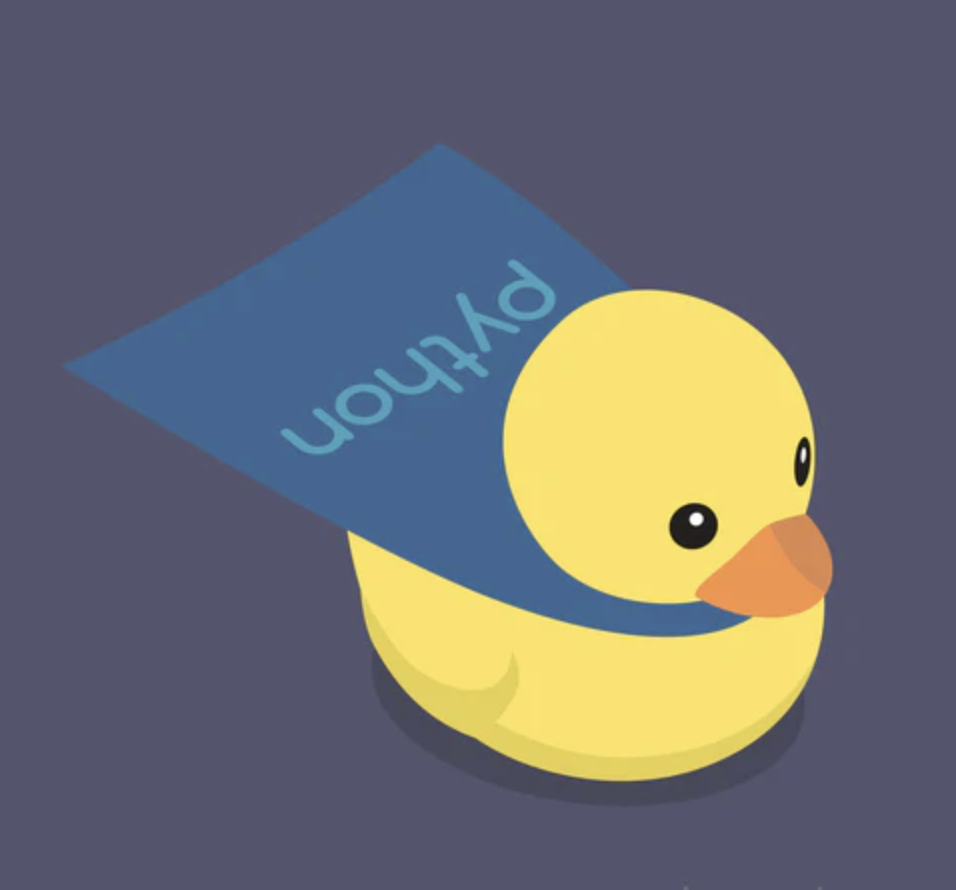devDucks Python Rubber Duck