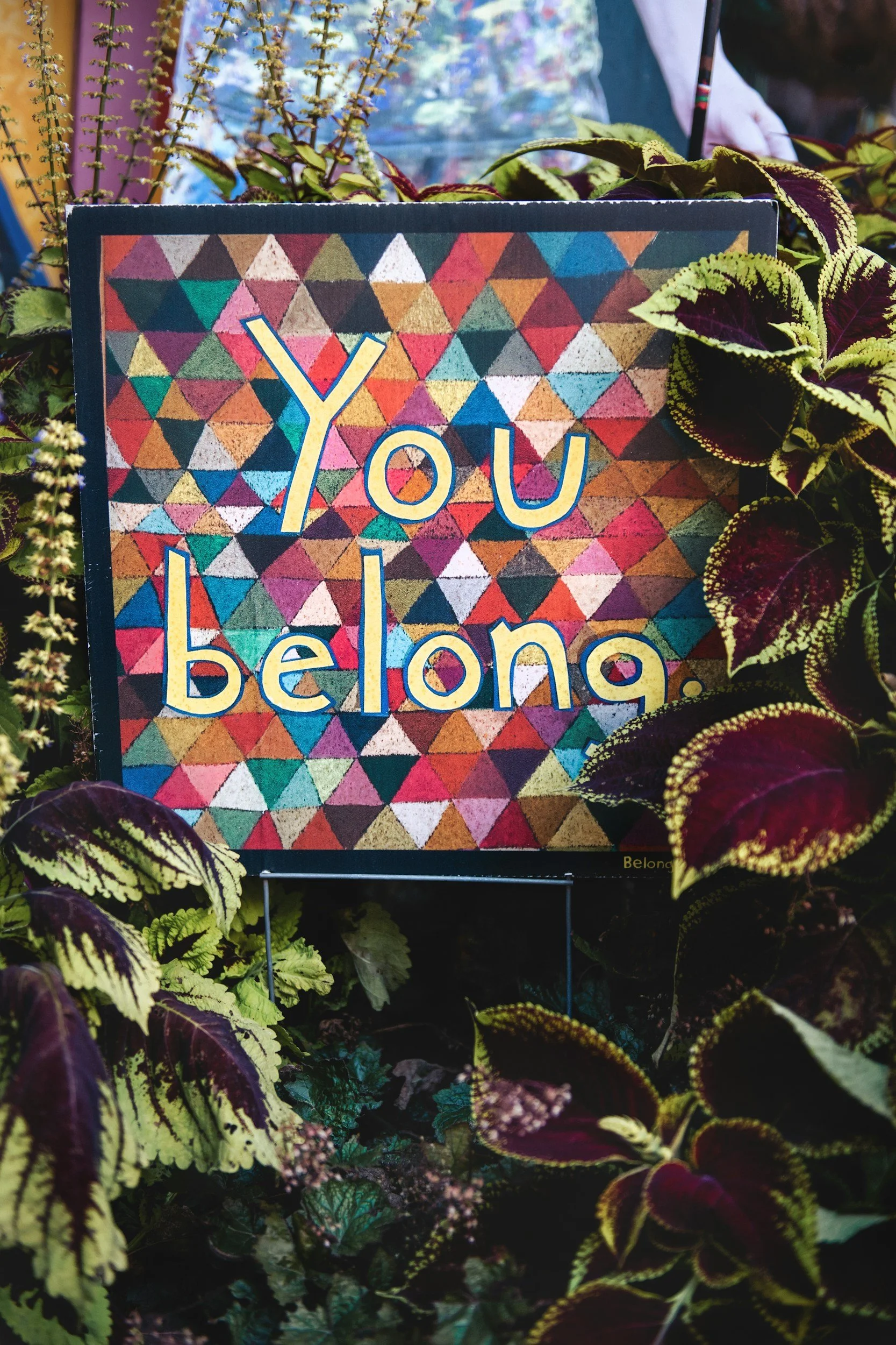A colorful sign with a geometric triangle pattern reading 'You belong' located among green and purple leafy plants.
