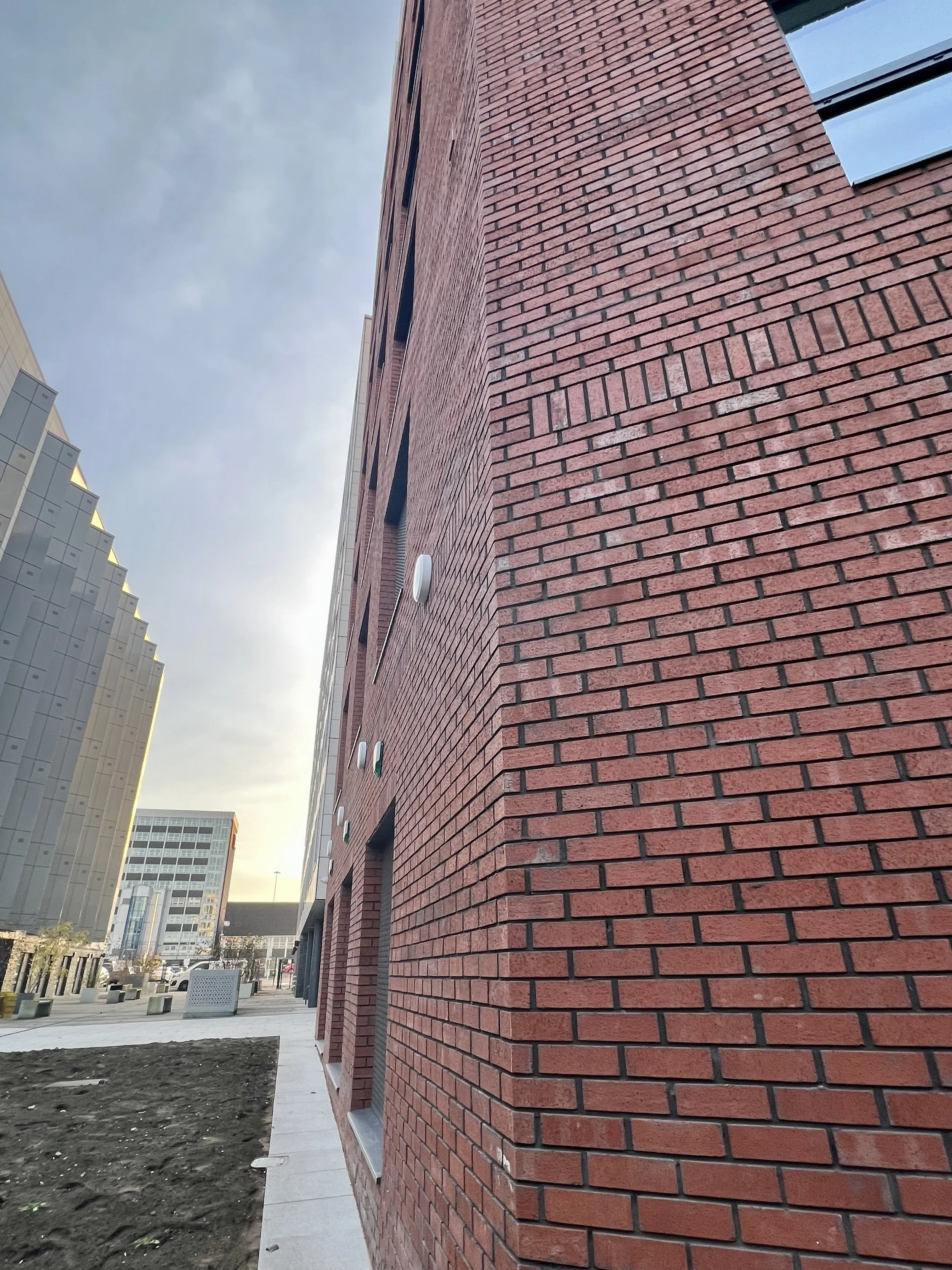 IMG_5295.jpeg