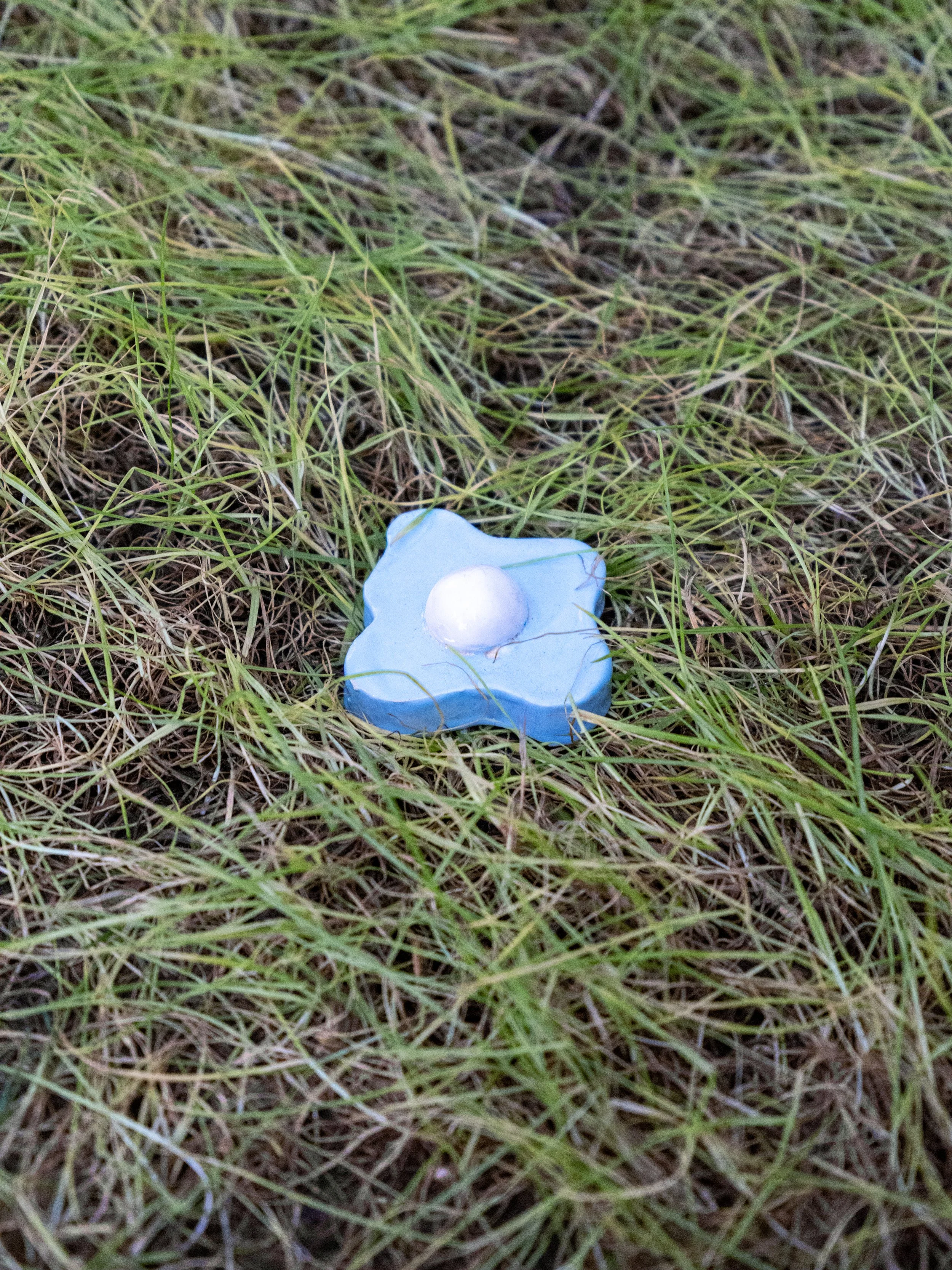 DSCF6855.jpg