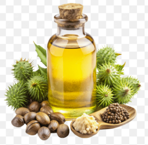 Castor Oil- Nature’s Liquid Gold 