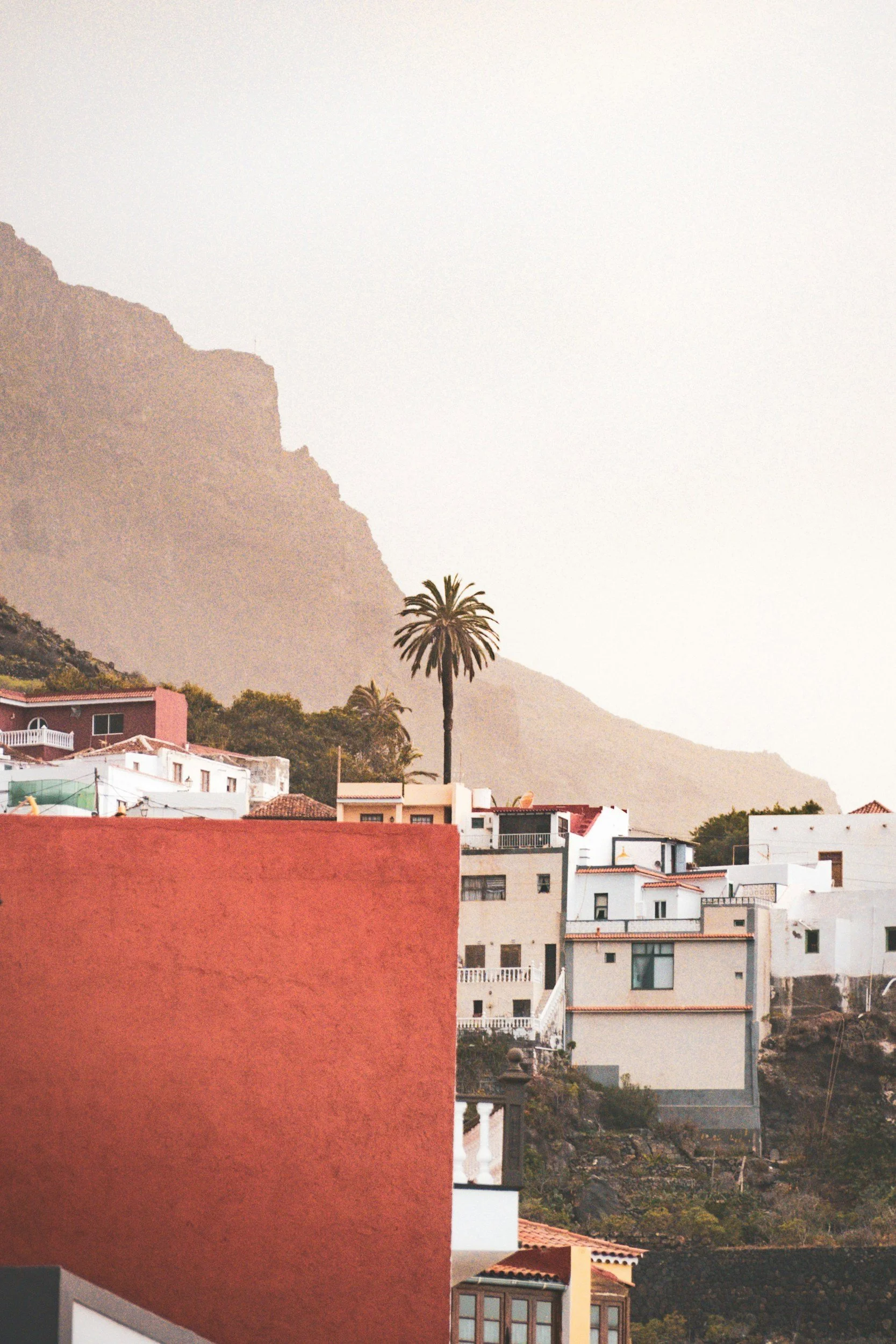 A hillside town with colorful houses and a tall palm tree in the foreground. A mountain with mist or fog in the background.