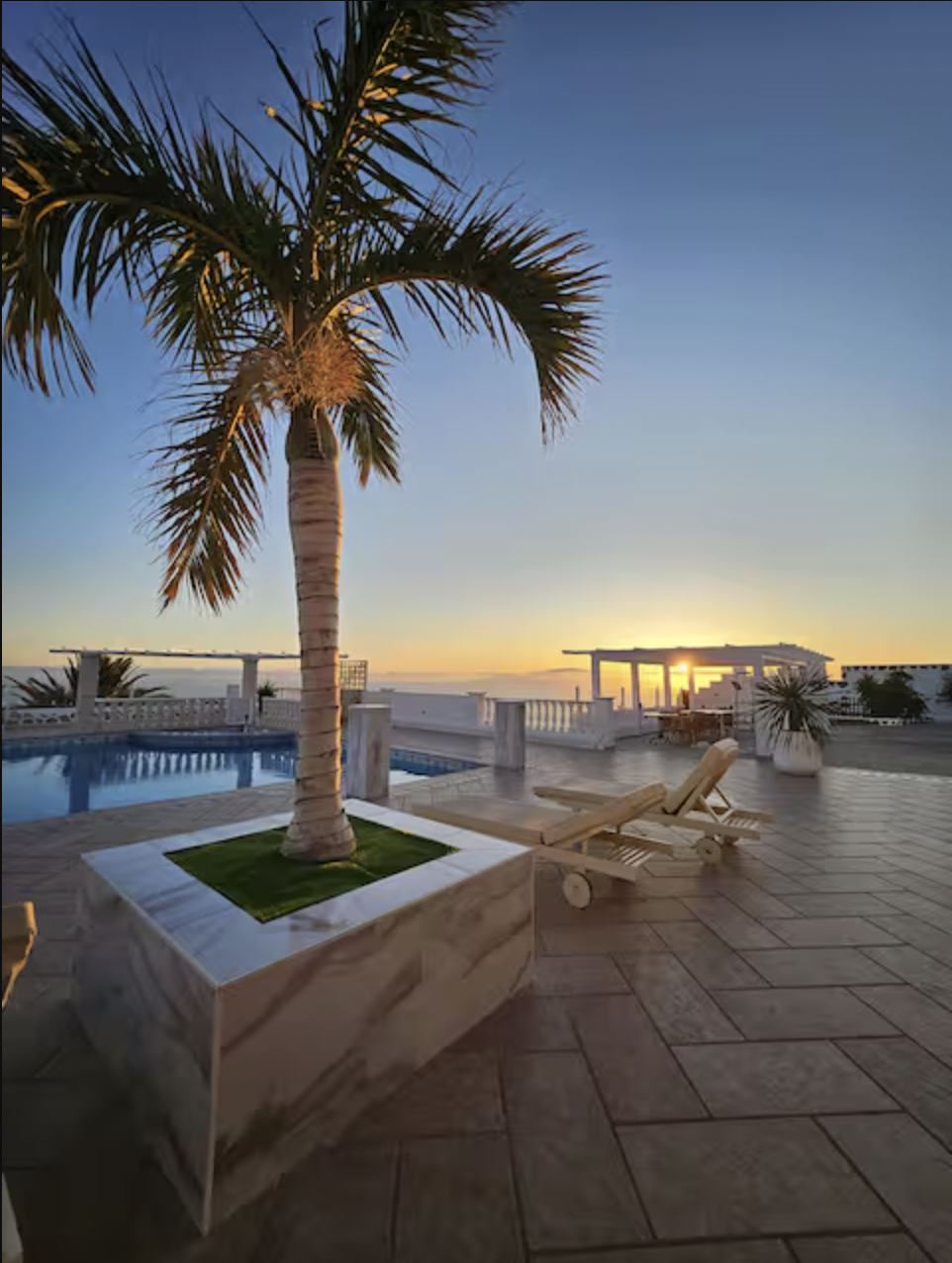 A rooftop outdoor pool area with a palm tree in a square planter, lounge chairs, potted plants, and a view of the sunset over the ocean.