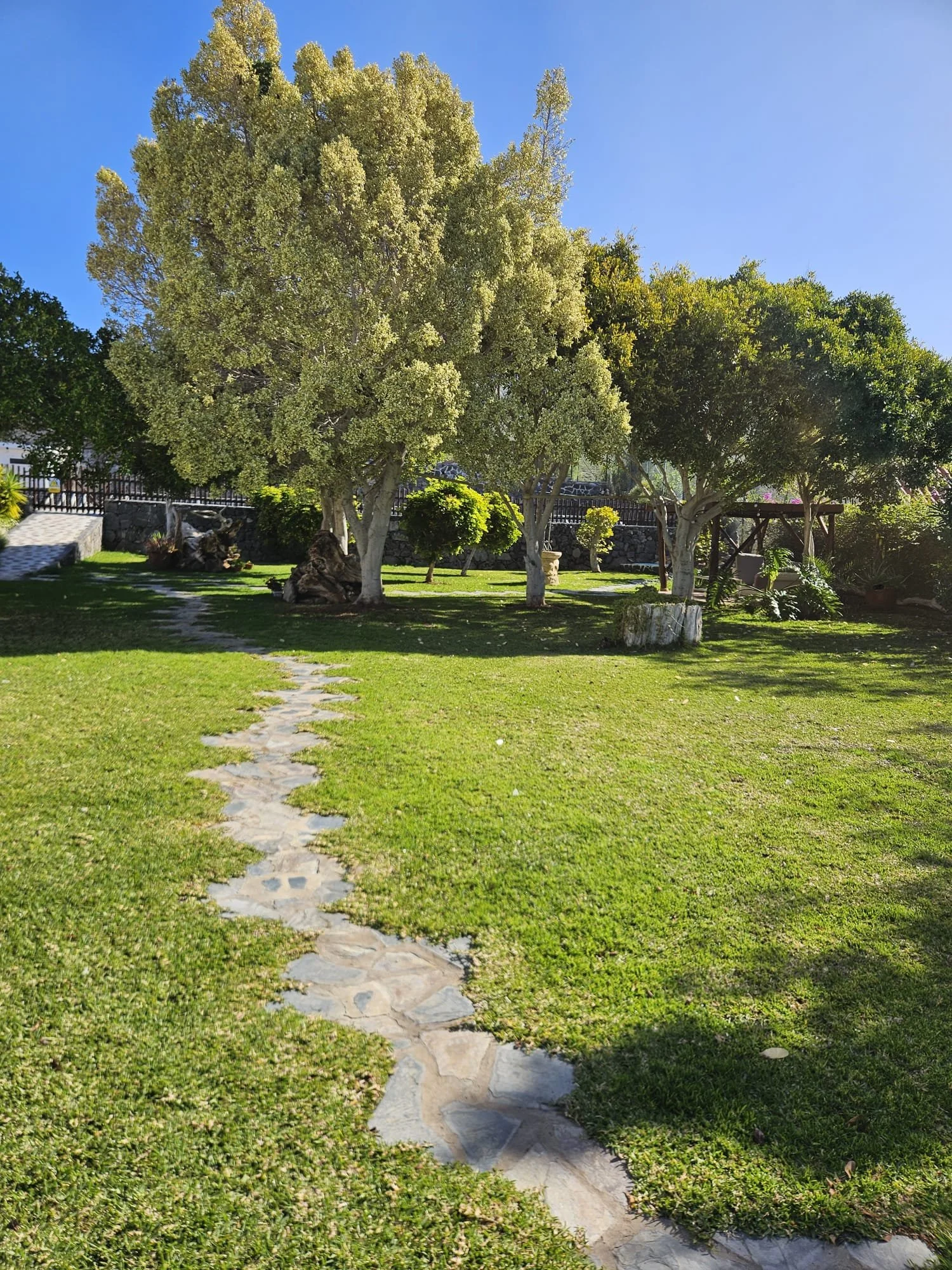A lush, green backyard with a stone pathway leading to tall trees, a low stone wall, and a swing under a tree, with clear blue sky overhead.