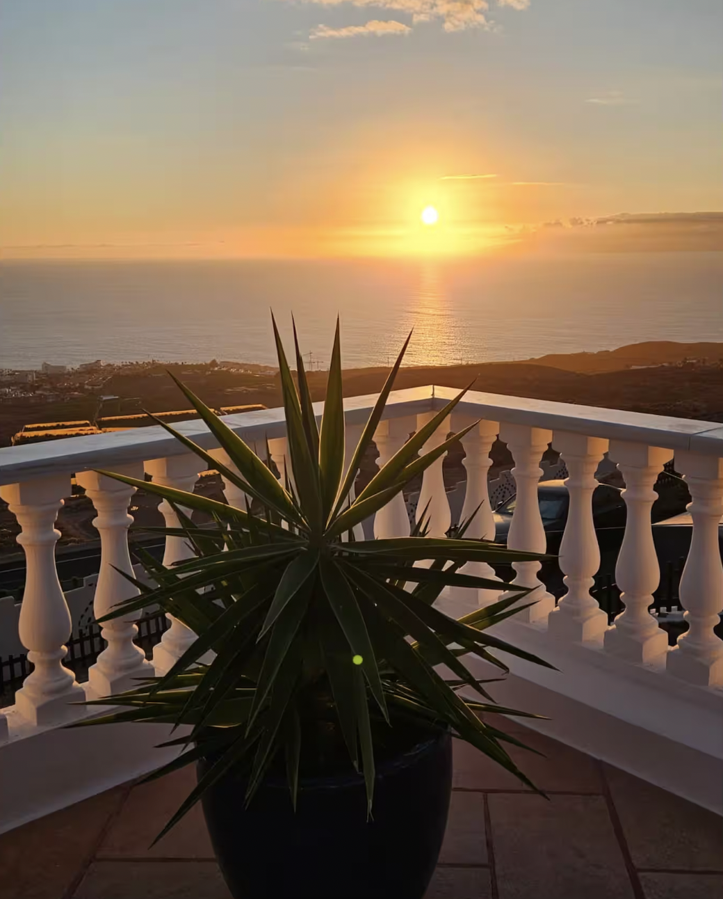 A potted plant with pointed green leaves on a balcony overlooking a sunset over the ocean, with a white railing and distant hills.
