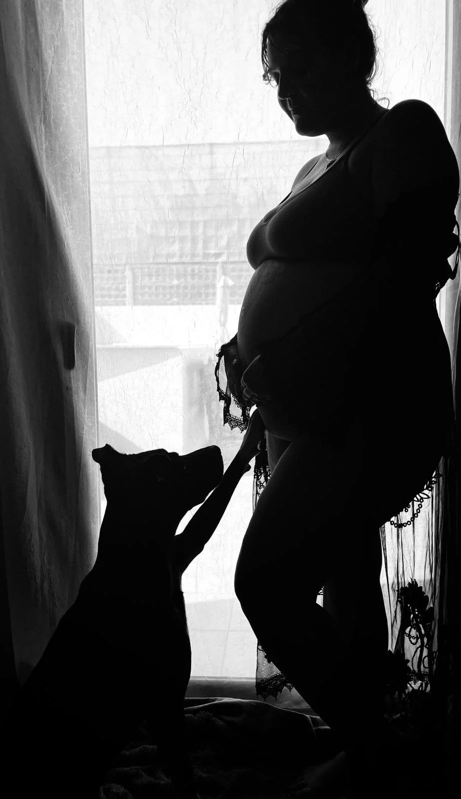 Silhouette of pregnant woman with a dog touching her belly, standing in front of a window with sheer curtains.