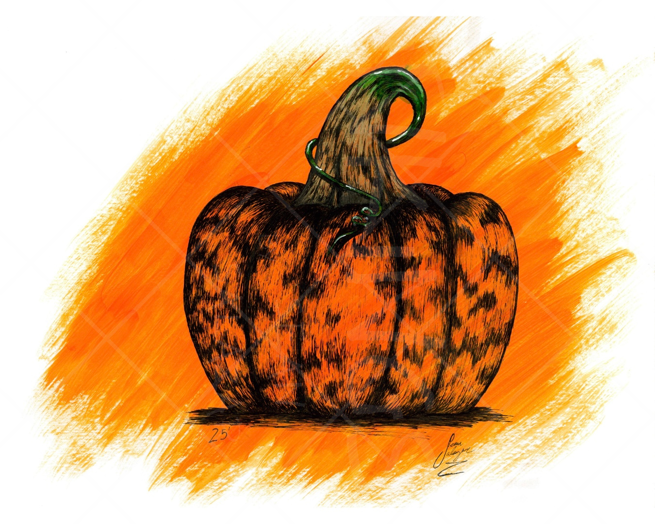 Illustration of a pumpkin with a textured orange and black surface, against an orange background with brush strokes.