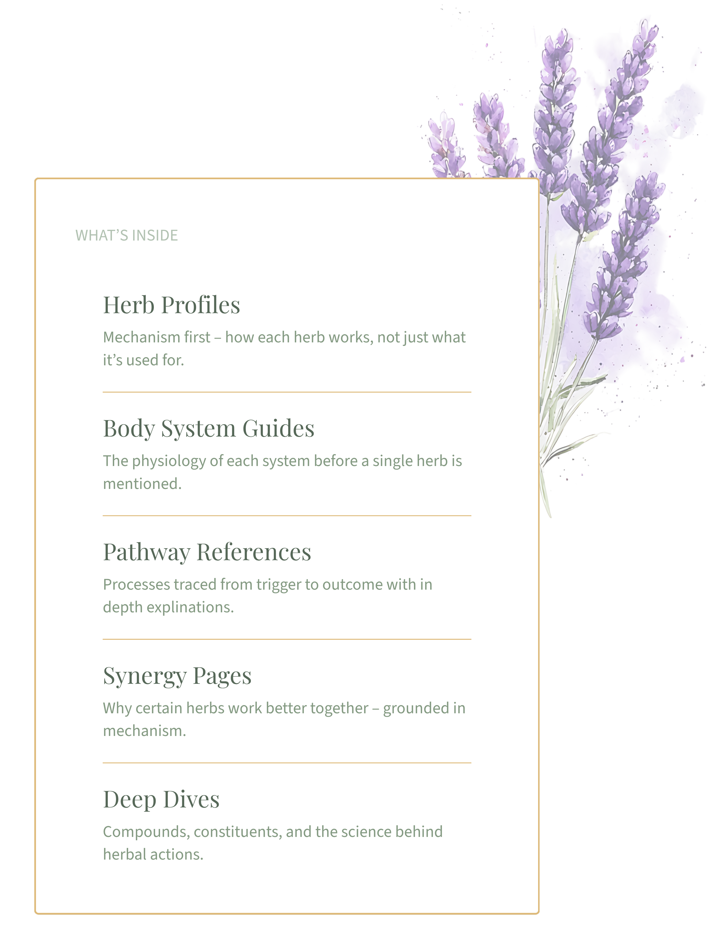 A website page with purple lavender flowers on the right side, and a list of herbal topics on the left side including herb profiles, body system guides, pathway references, synergy pages, and deep dives.