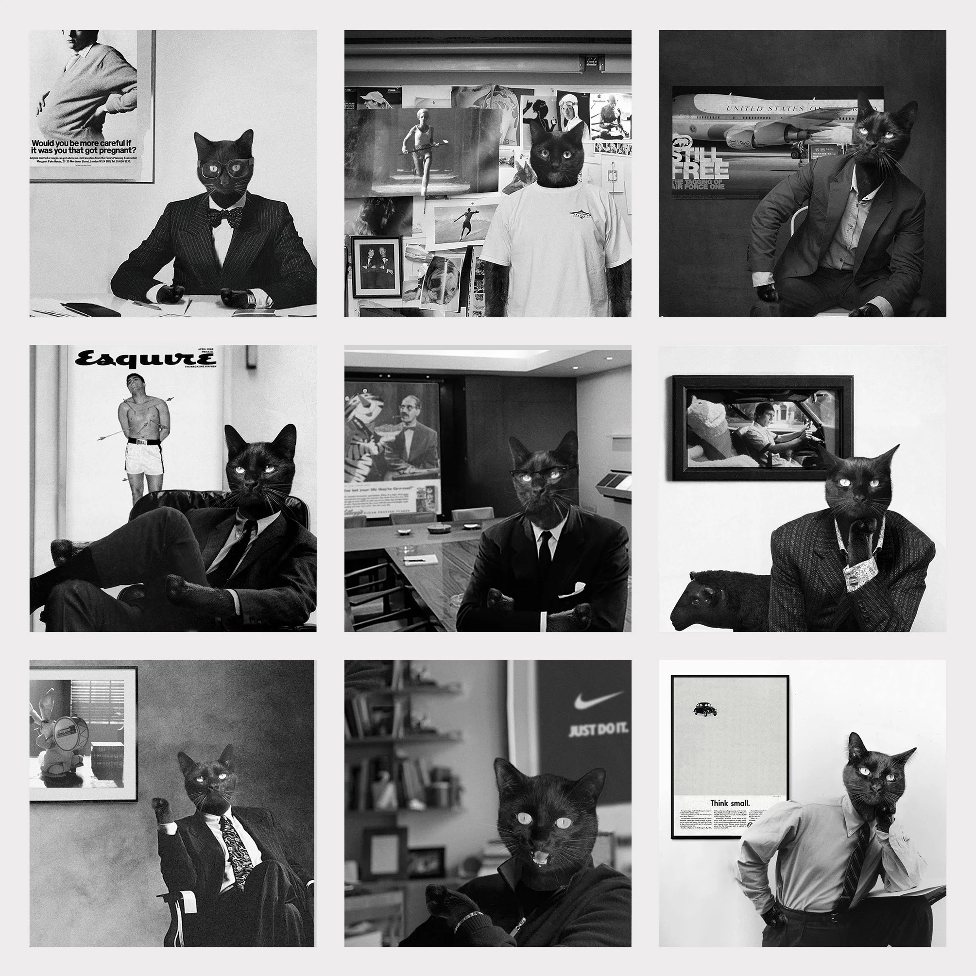 The greatest Creative Director Cats 😼