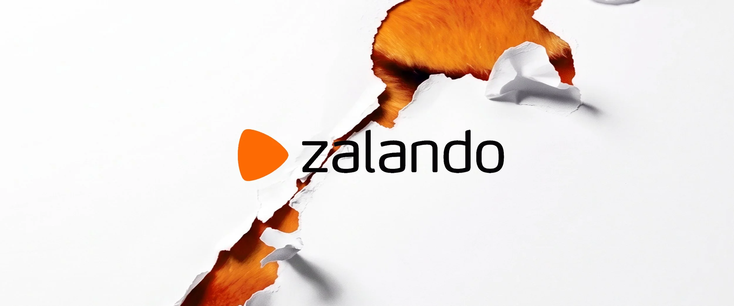 ZALANDO - Outdoor & Influence