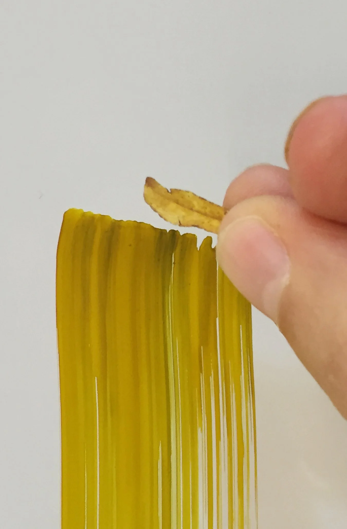 Figure 21:More Joy. Custom mixed Neuland dry-erase ink that ended up matching a leaf I had in mind and then found on the floor while drawing. 2015.