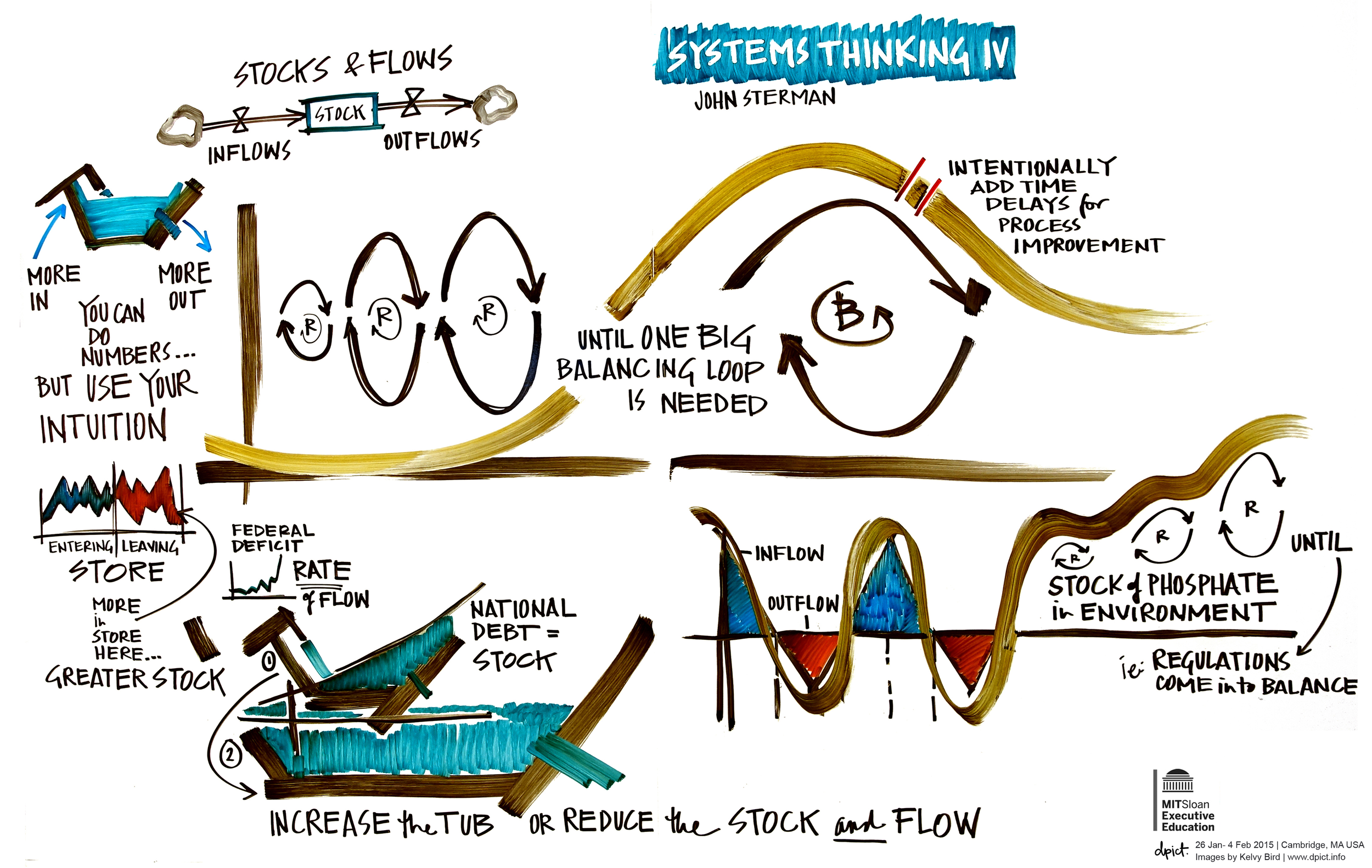 Kelvy Bird_2015_MIT_John Sterman.png