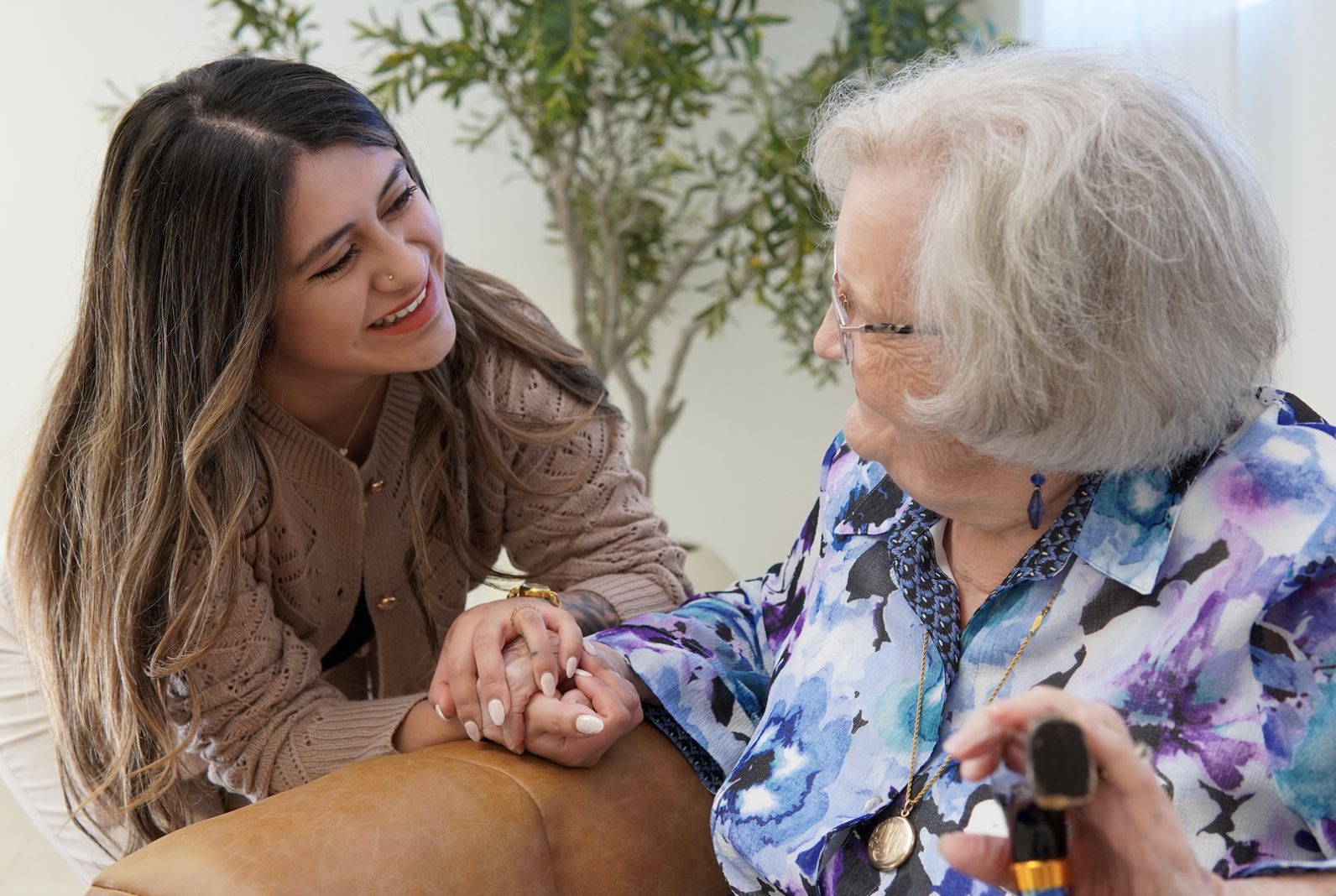 Private In-Home Consultation