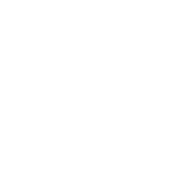 Empty white background with no objects or details.
