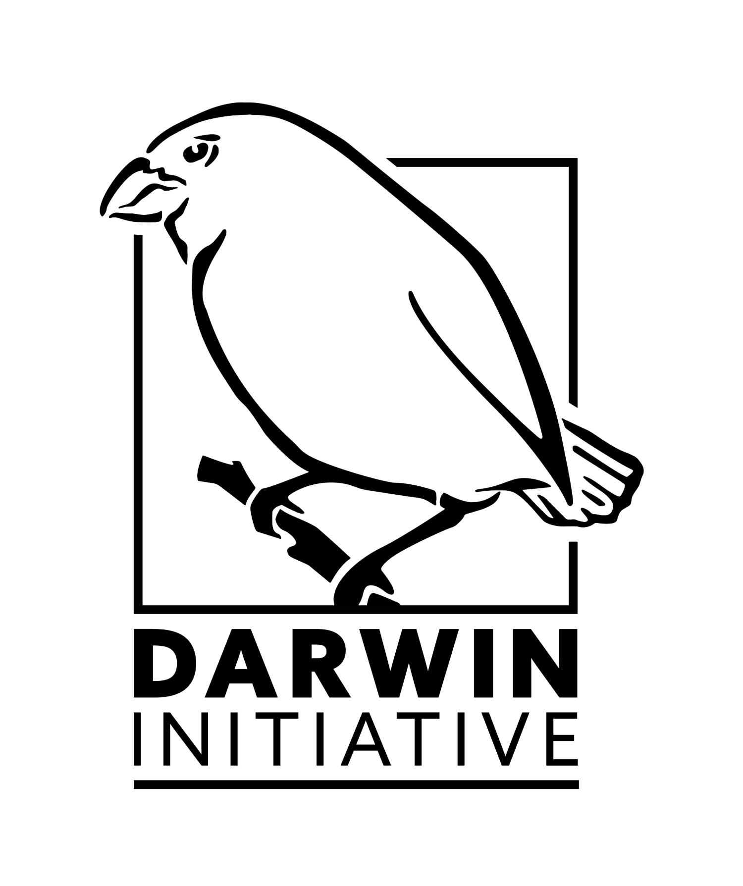 Darwin Logo Black-01.png