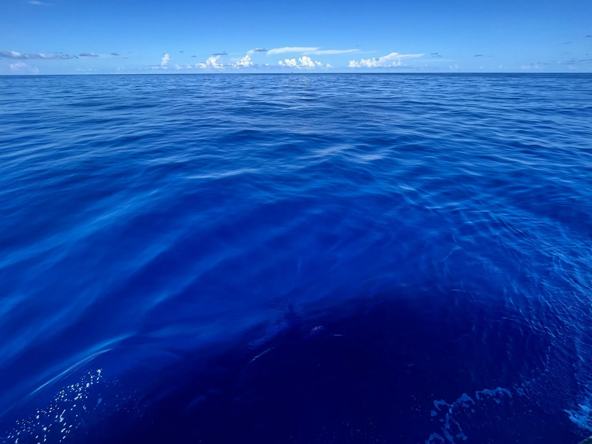 Happy World Oceans Day!

We are grateful for the ocean and everything it does for us. It keeps our planet cool, makes oxygen we need to breathe, provides food to millions of people, supports tourism, and so much more.

Today, we remember everything i
