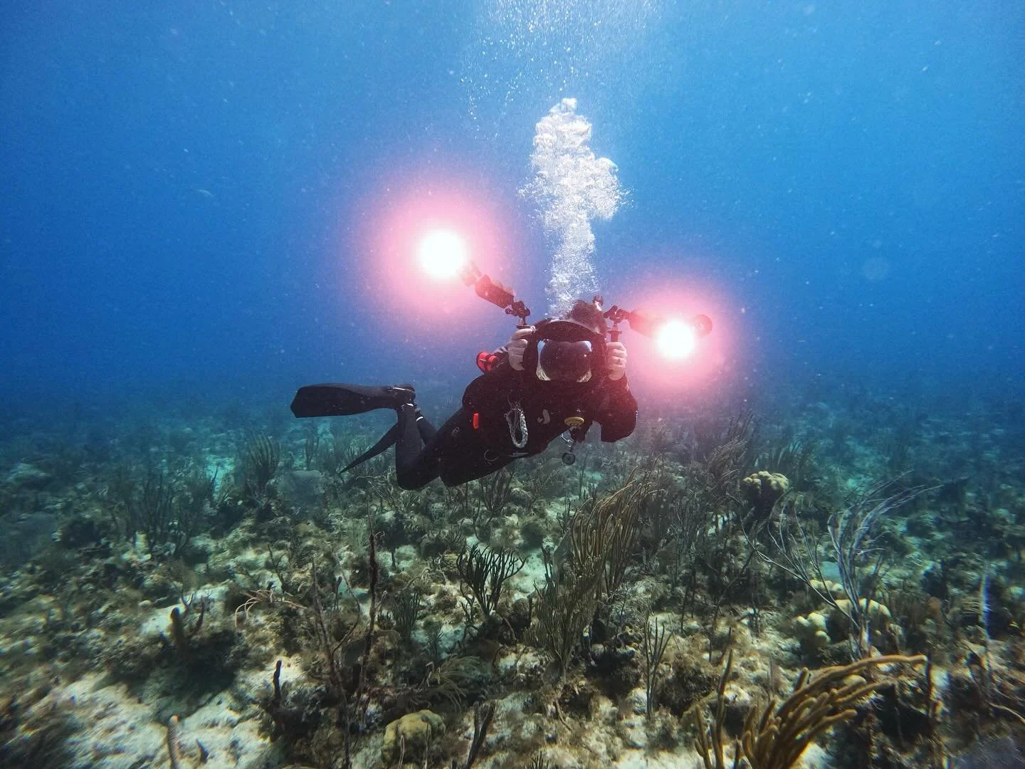 Viktor just spent a week assessing reefs and making new connections in the British Virgin Islands. Thanks to the National Parks Trust @nationalparkstrustvi for the invitation to participate! Thanks also to @scubapro who rushed a full set of dive gear
