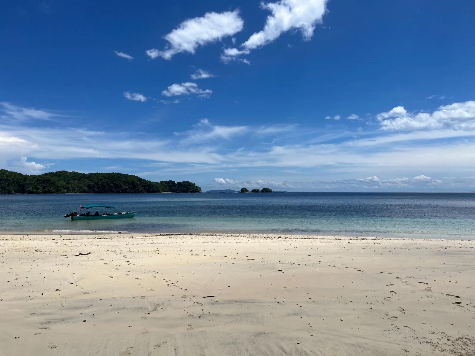 Where It Goes | Lorem ipsum dolor sit amet consectetur adipiscing elit. Quisque faucibus ex sapien vitae pellentesque sem placerat. In id cursus mi pretium tellus duis convallis. Tempus leo eu aenean sed diam urna tempor. Pulvinar vivamus fringilla l