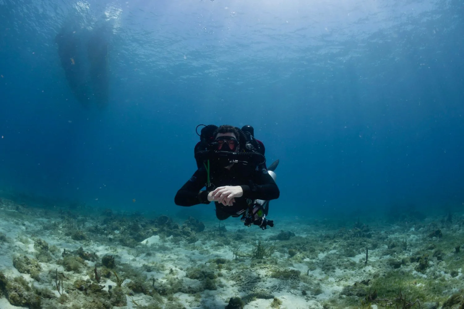 Let's Make Plans | Have a coral reef research question but need some help with execution in deeper water? We specialize in boat and dive support and logistics planning. We are located in the US Virgin Islands but are experienced in planning and execu