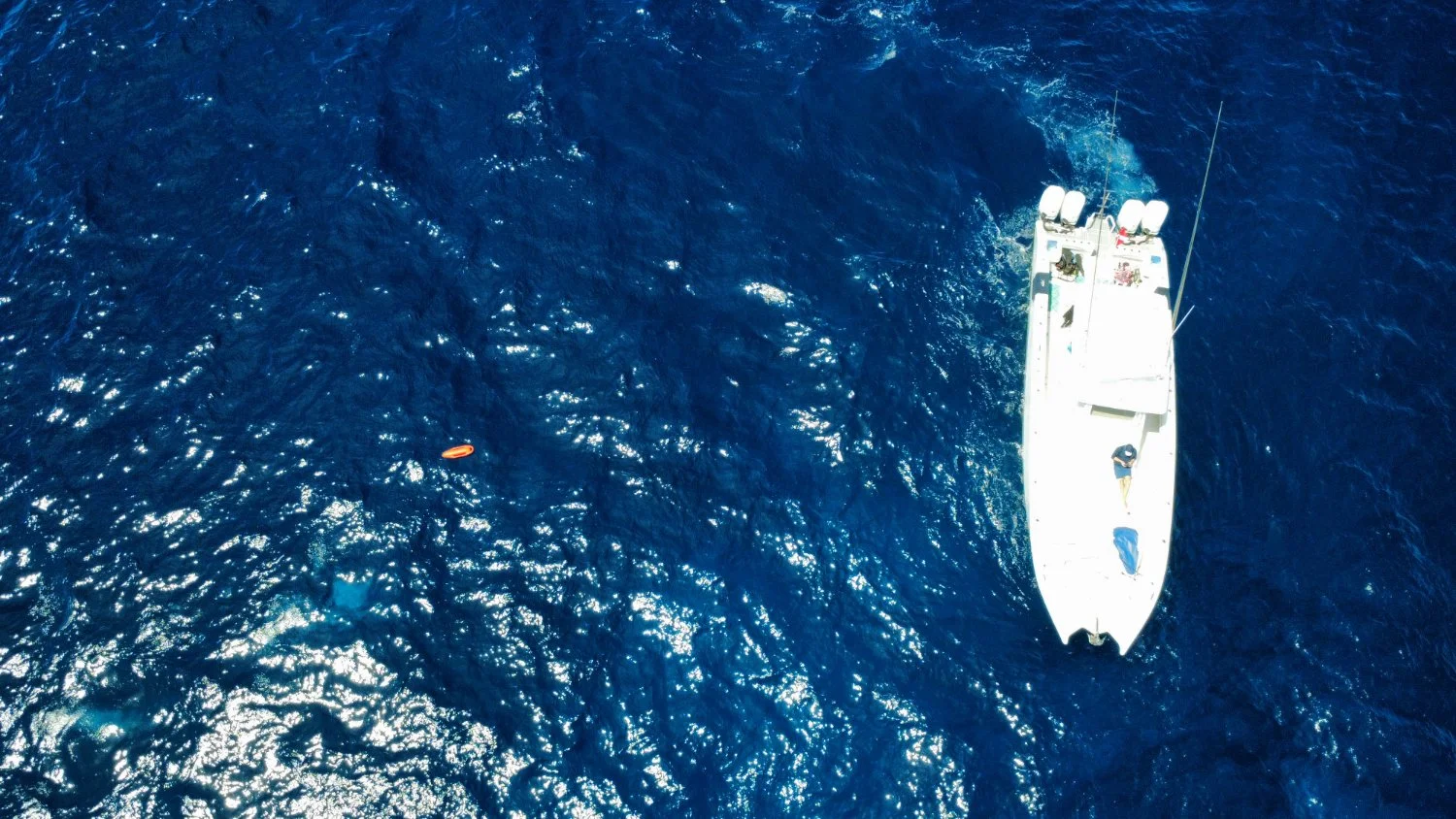 The RV Makaira ## | RV Makaira is a 42’ Renaissance Prowler power cat with four 300HP outboard engines. She was named after the blue marlin, Makaira nigricans, for her speed, agility, and power.

Makaira was acquired specifically for offshore dive op