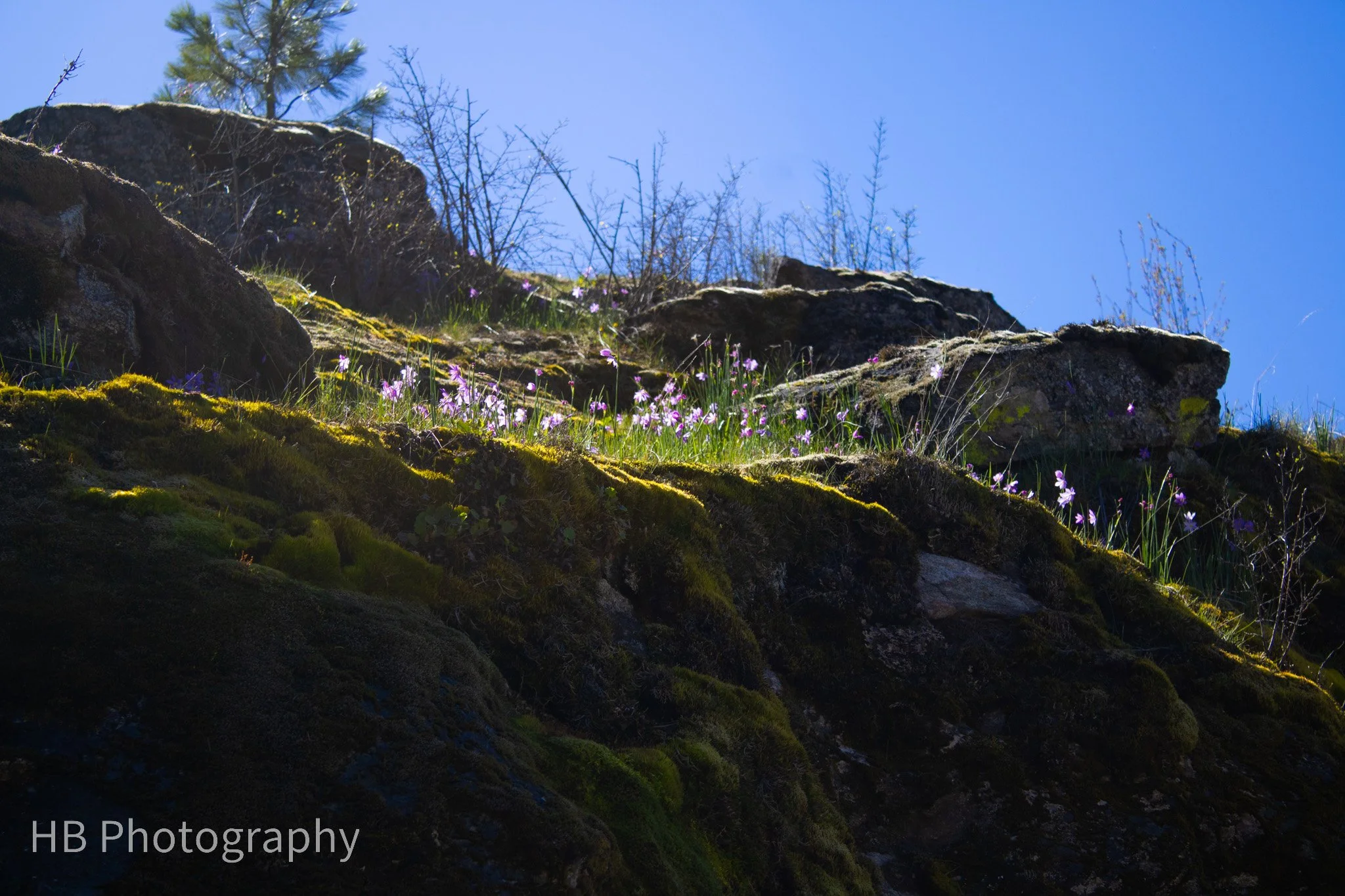 Scenery3.jpg