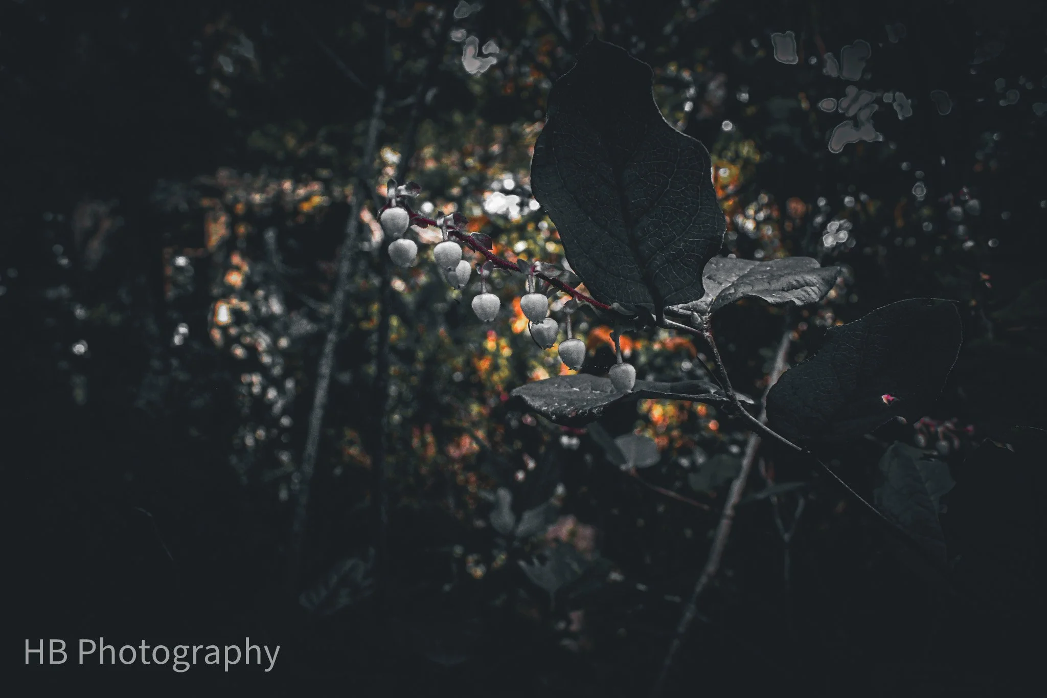 Heart of Earth