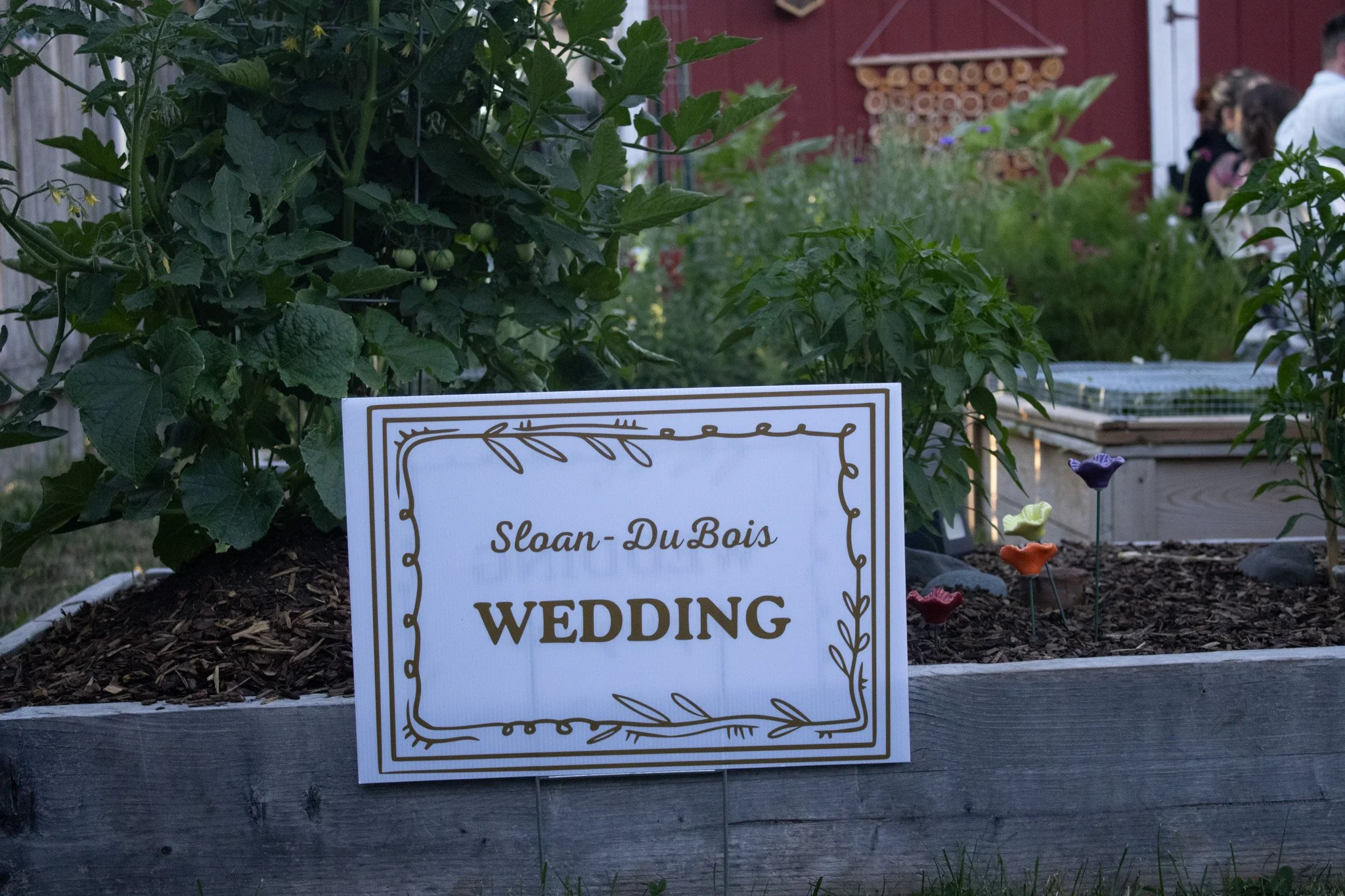 Dubios/Sloan Wedding