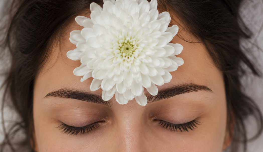 Chrysanthème (SPM)