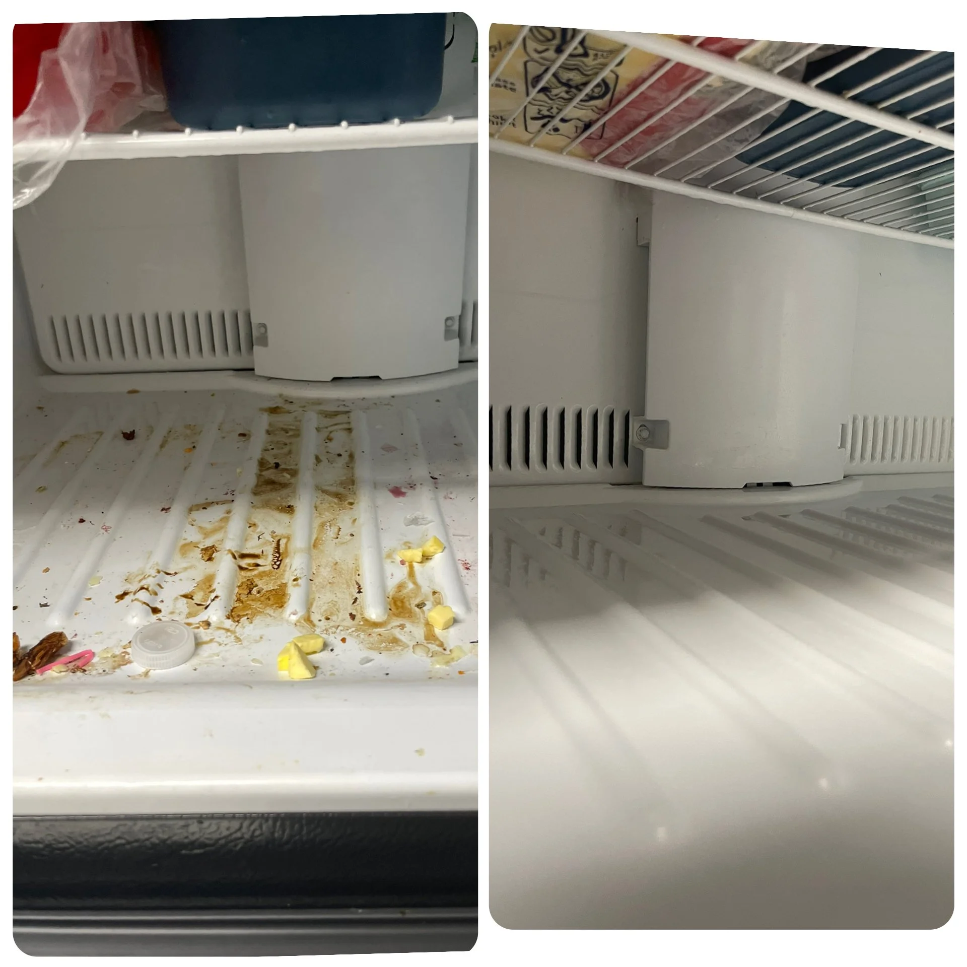Freezer Deep Clean