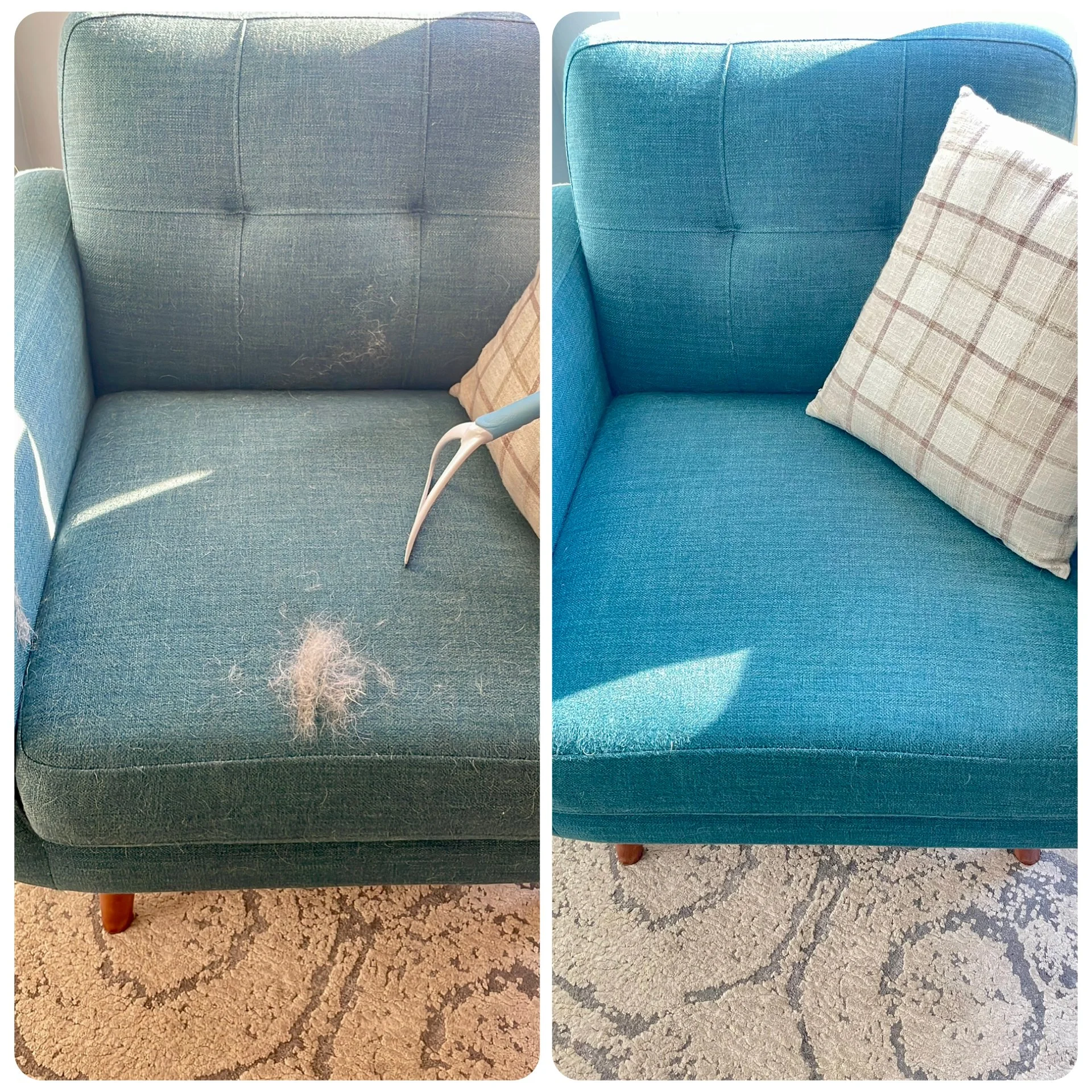 Upholstery Cleaning