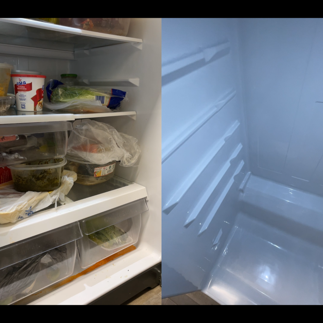 Refrigerator Detail Cleaning