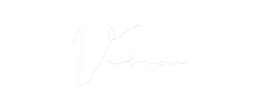The logo of The Vison in white cursive text on a black background.