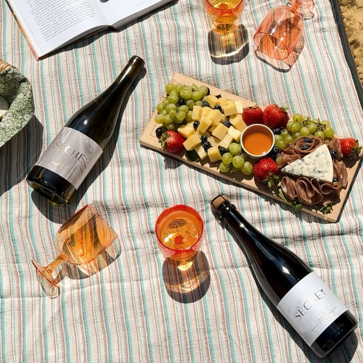 A picnic setup with a striped tablecloth, two bottles of rosé wine, two empty rosé glasses, a cheese and fruit platter with grapes, strawberries, blue cheese, prosciutto, and a small container of honey, and I open book and pink-tinted glasses.
