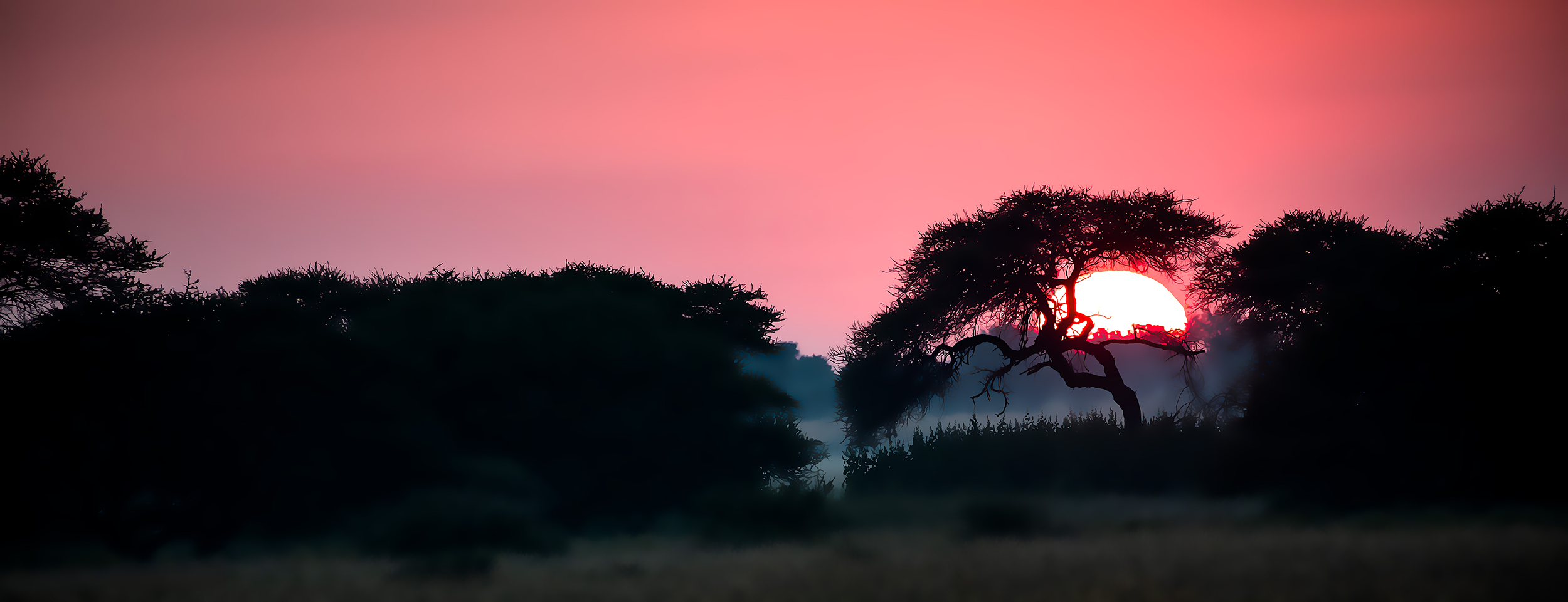 Sunset in Botswana