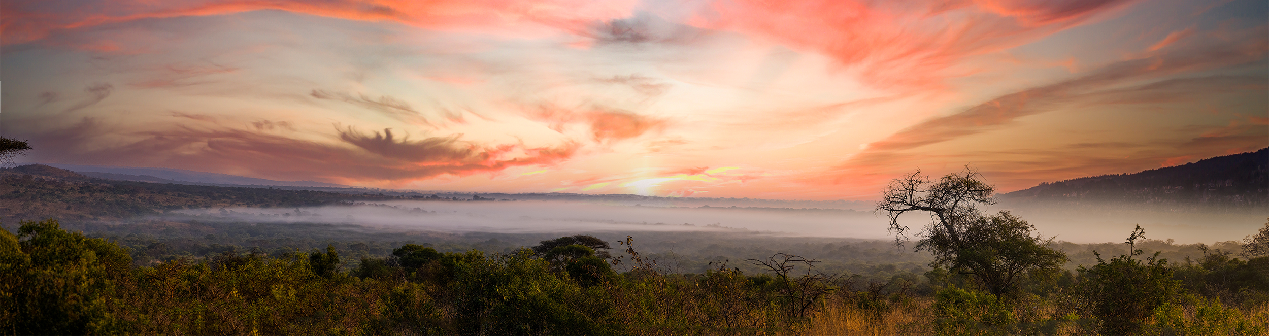 View of Phinda, South Africa-Kwa Zulu Natal