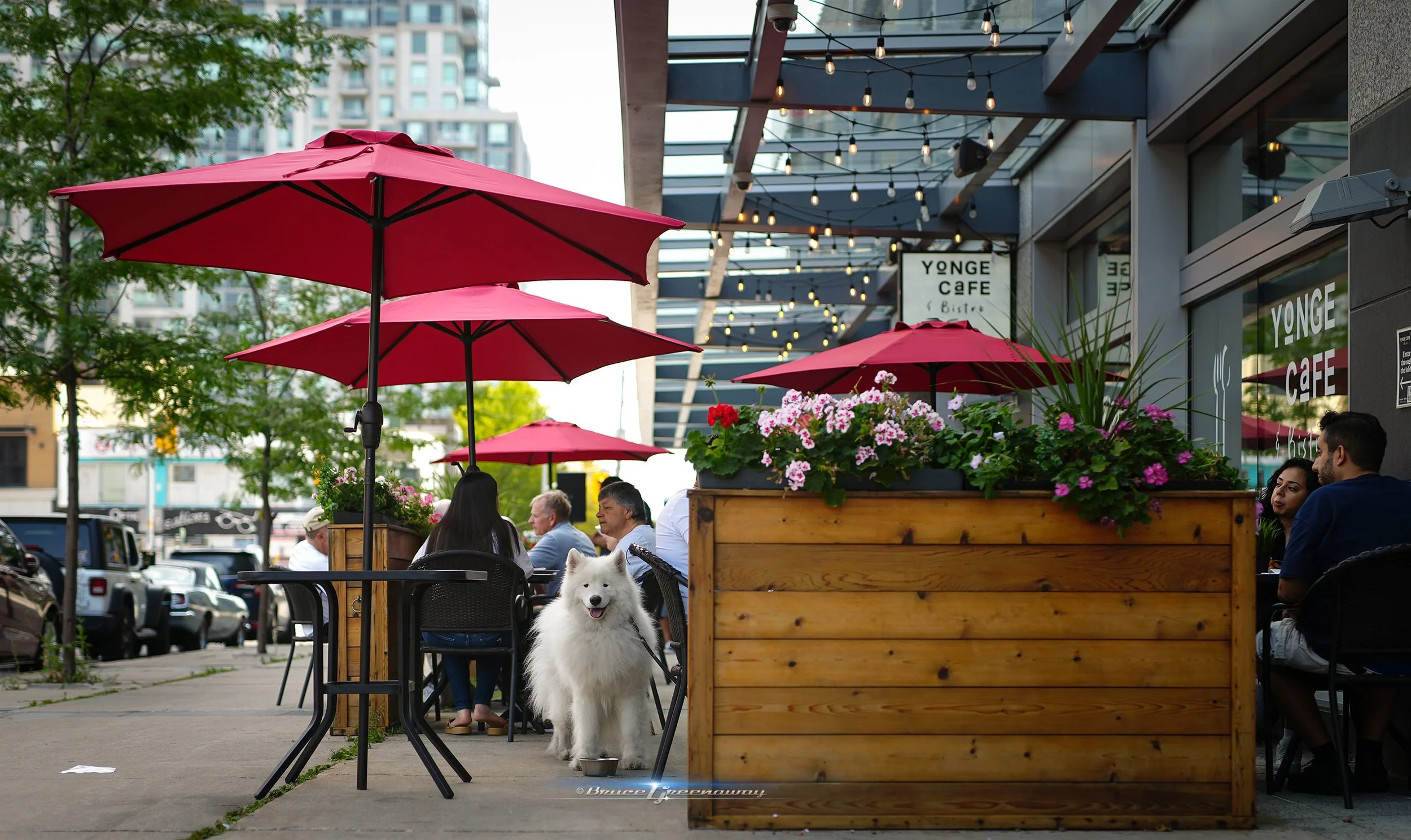 WaylingJames Cafe13a.jpg