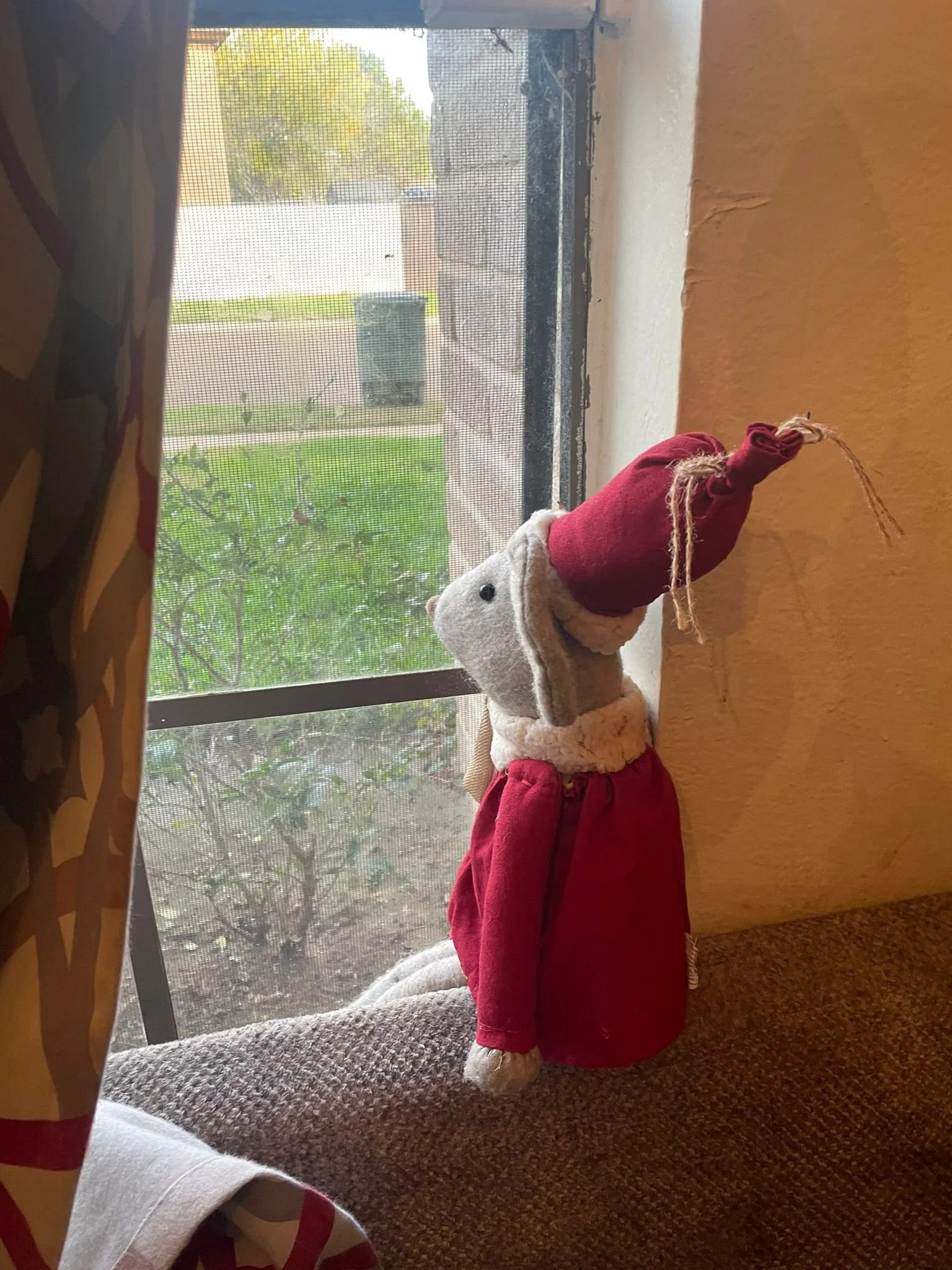A stuffed toy Christmas mouse dressed in a red Santa outfit with a hood, sitting on a carpet near a window with a mesh screen. There is a tree and a green trash bin outside.