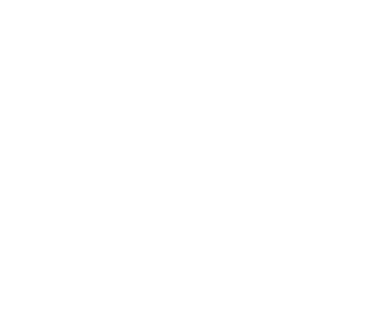 Glock logo with the word 'PERFECTION' below it.